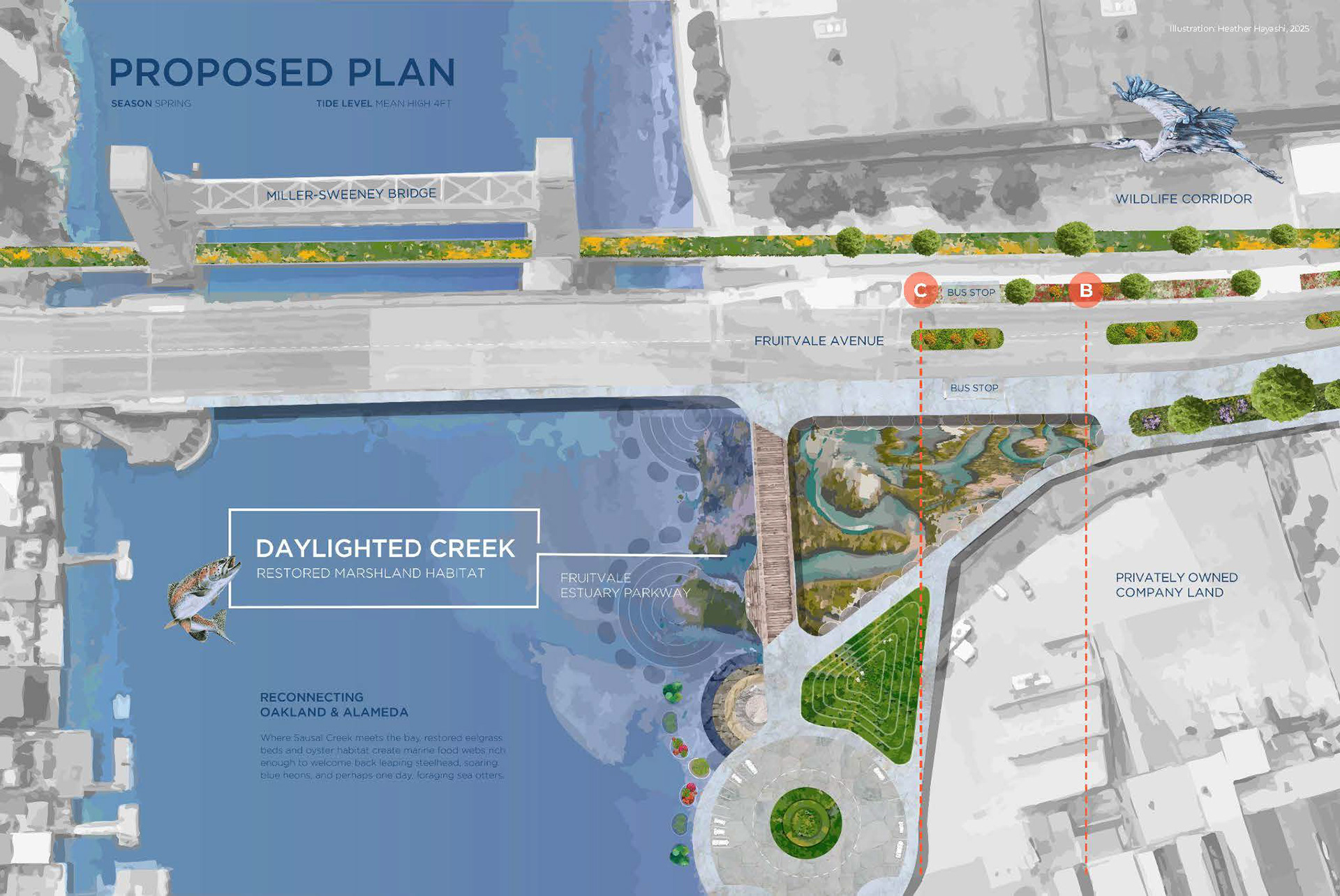 Digital illustration of proposed plan view. Heather Hayashi, 2025.