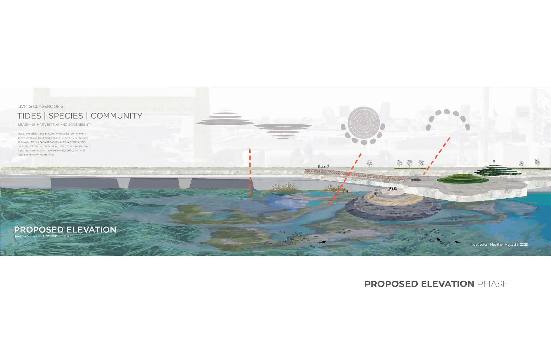 Digital illustration of proposed elevation view, including simple diagrams of tidal garden structures. Heather Hayashi., 2025.