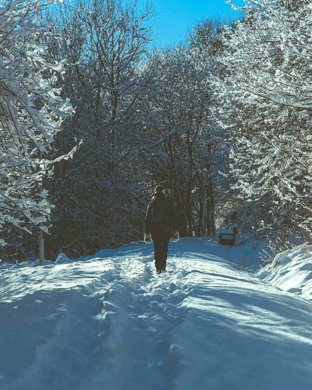 F6292 - Winter's day February 2026