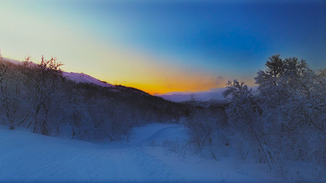 F6267 - Winter's day - Filefjell January 2026
