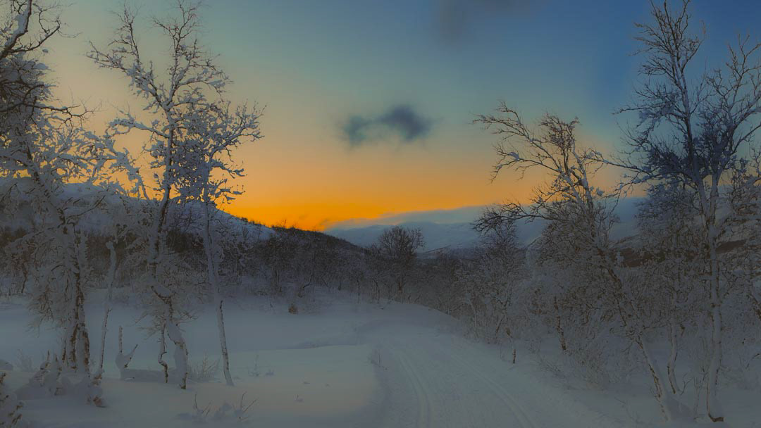 F6268 - Winter's day - Filefjell January 2026