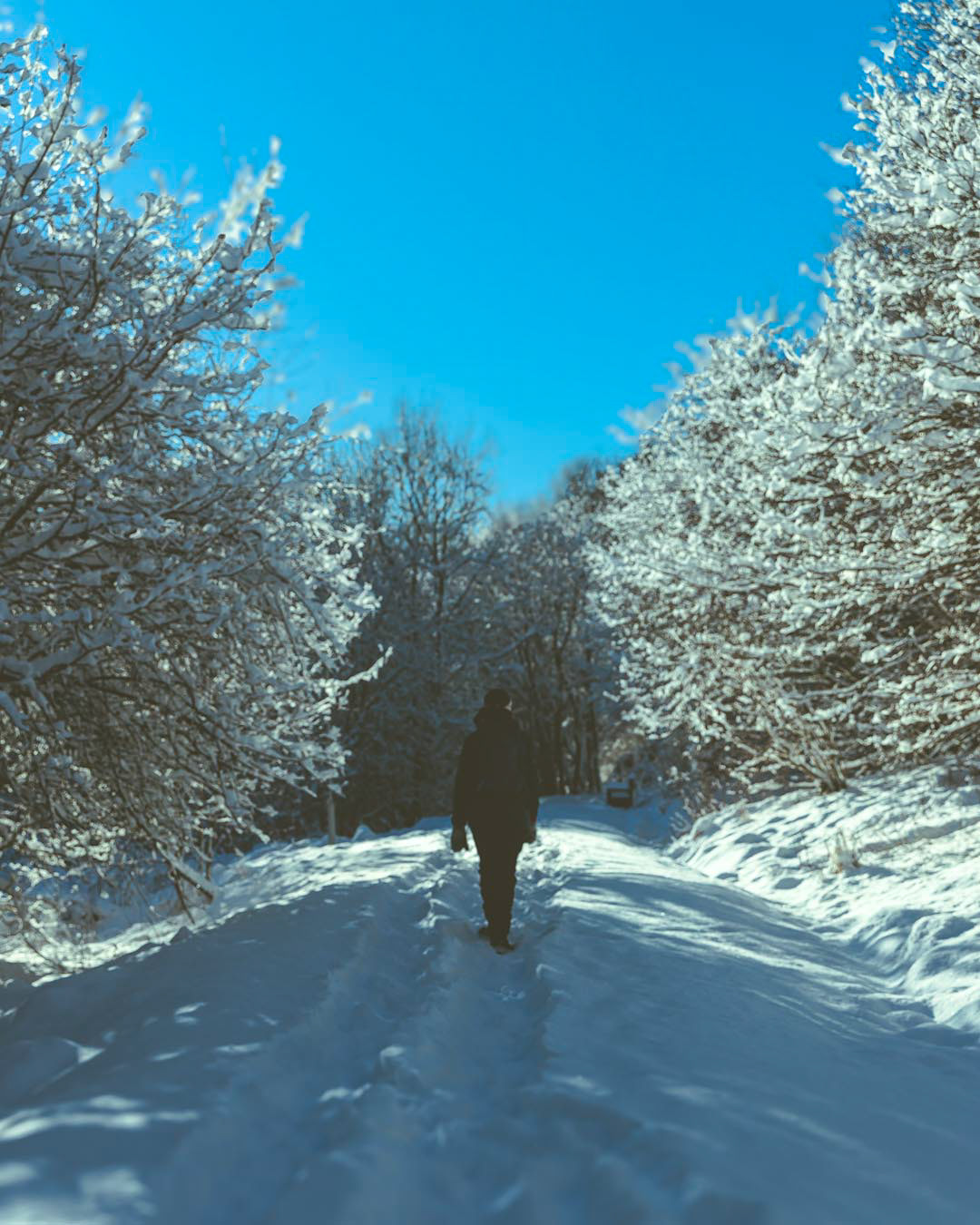 F6291 - Winter's day February 2026