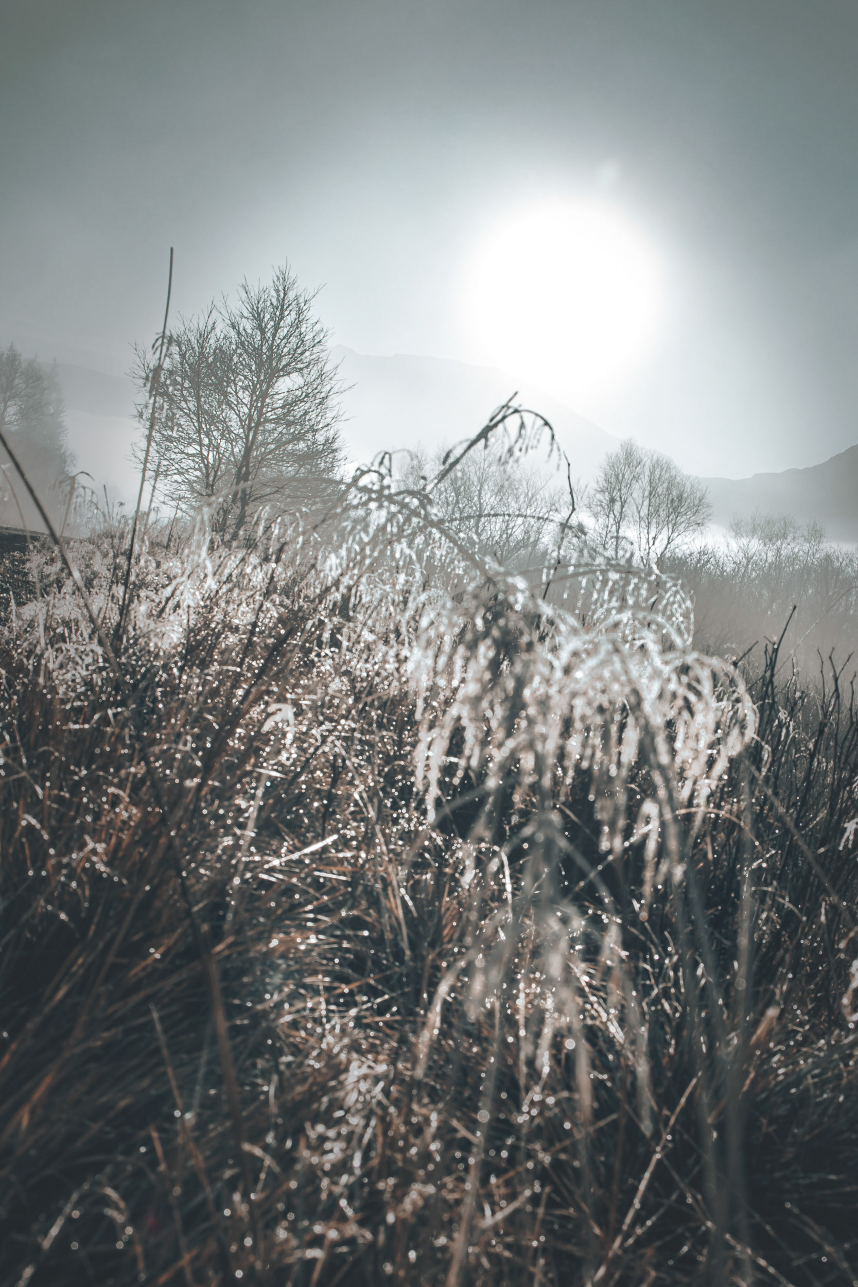 F7567 - Sanddalen, Valdres - November 2024