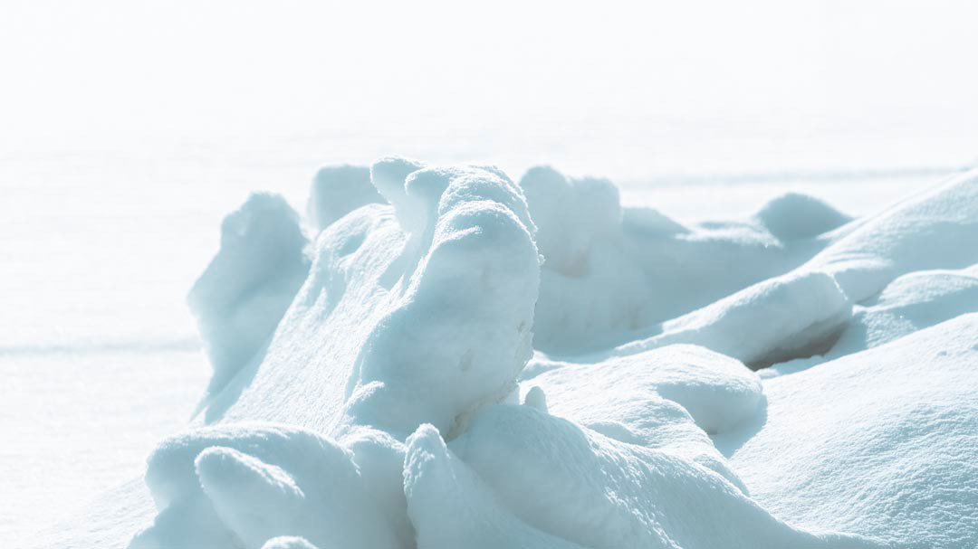 F6285 - Frozen February 2026