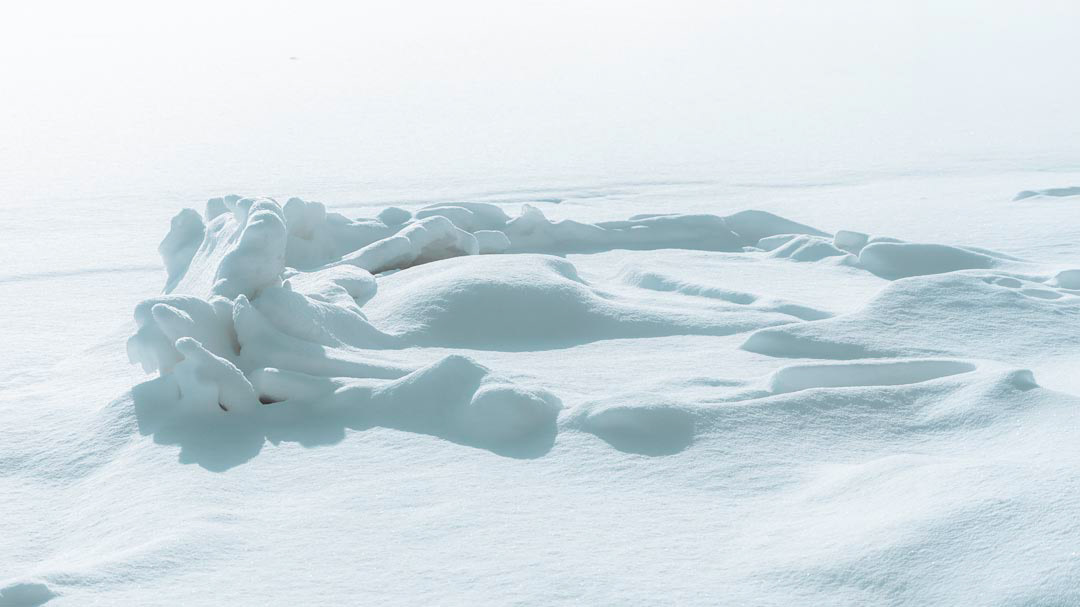 F6281 - Winter art February 2026