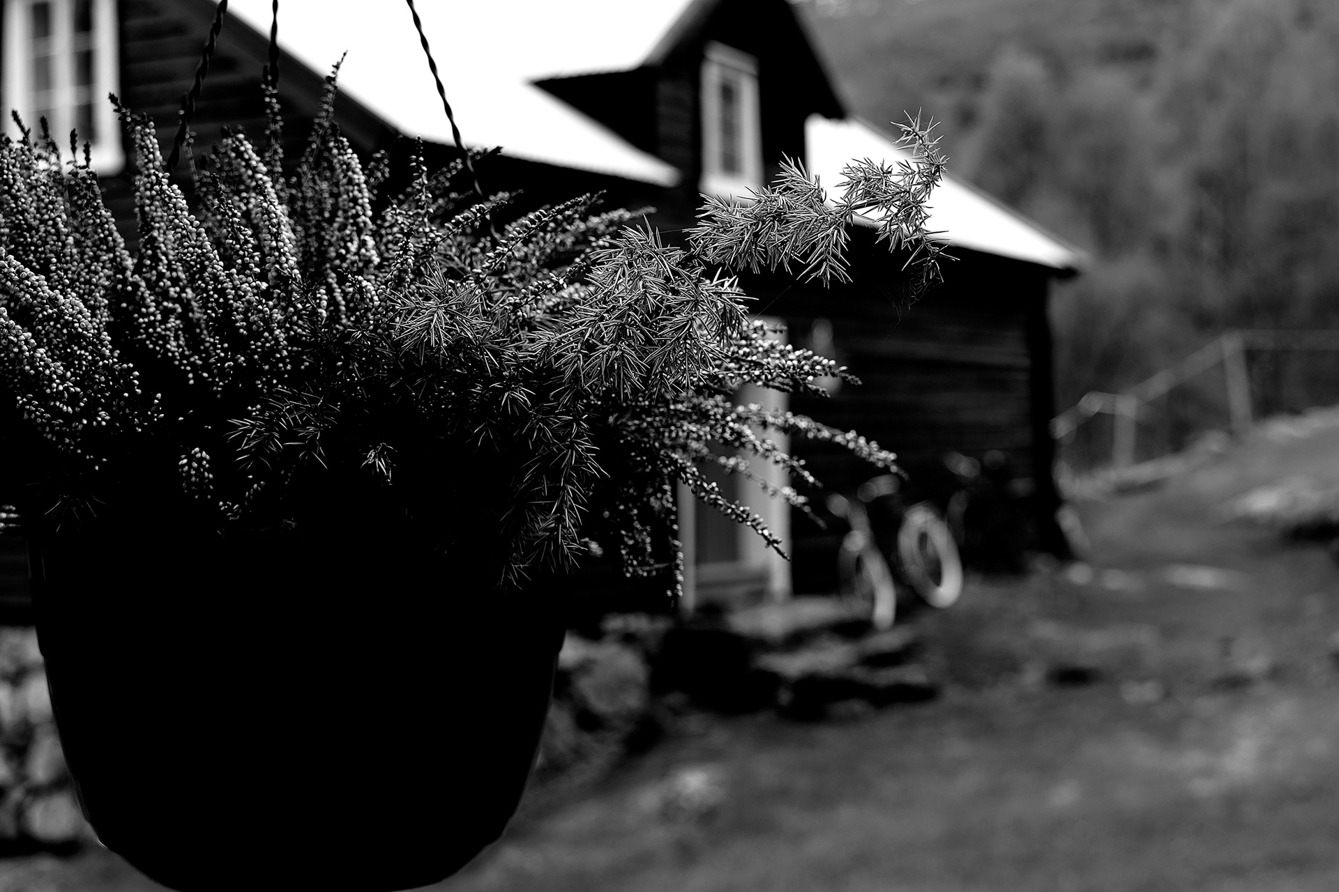 F1850 - Sverrestigen farmhouse, Borgund. May 2024