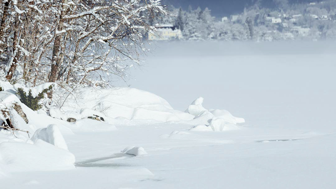 F6284 - Frozen February 2026