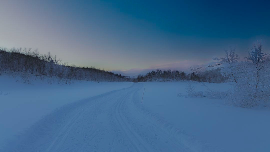 F6265 - Winter's day - Filefjell January 2026