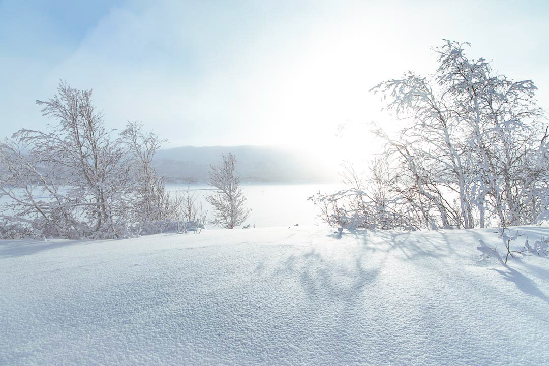 F6243 - Winter's day - Filefjell January 2026
