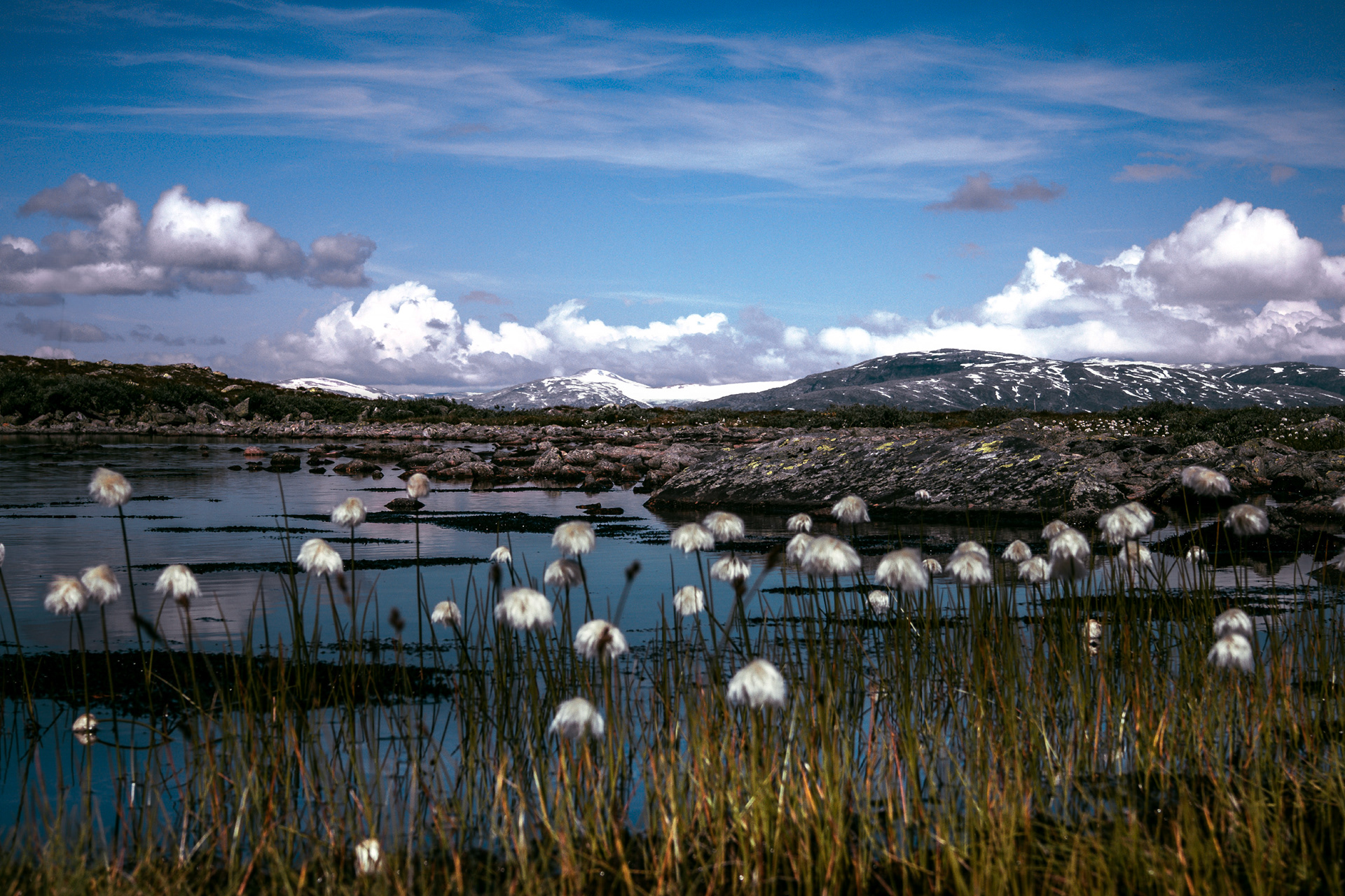 MG_6415 - Berdalsfjellet panoramic view