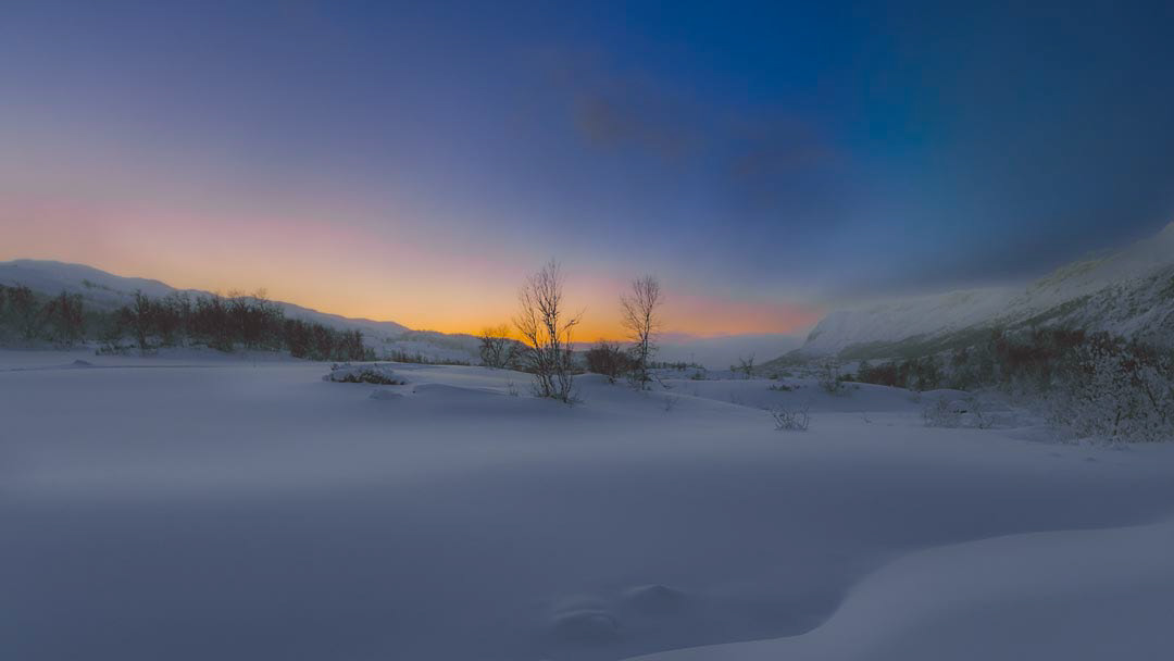 F6272 - Winter's day - Filefjell January 2026