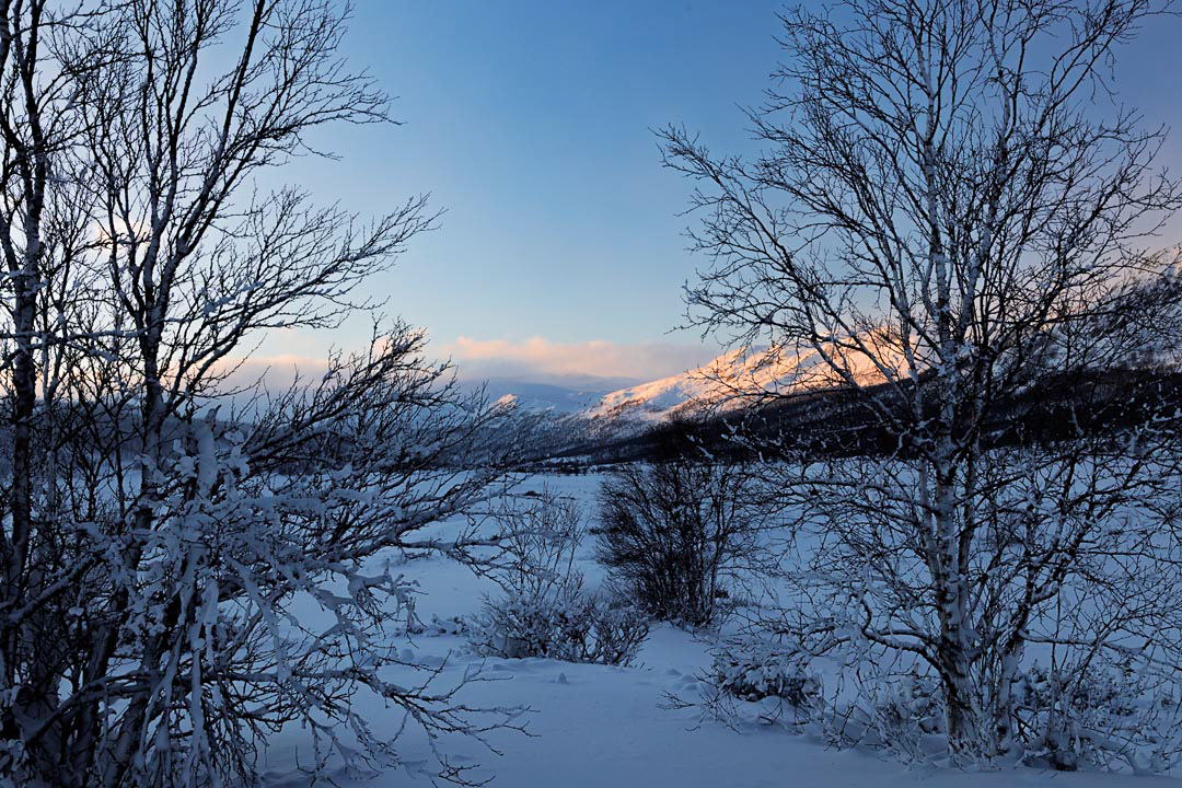 F6259 - Winter's day - Filefjell January 2026
