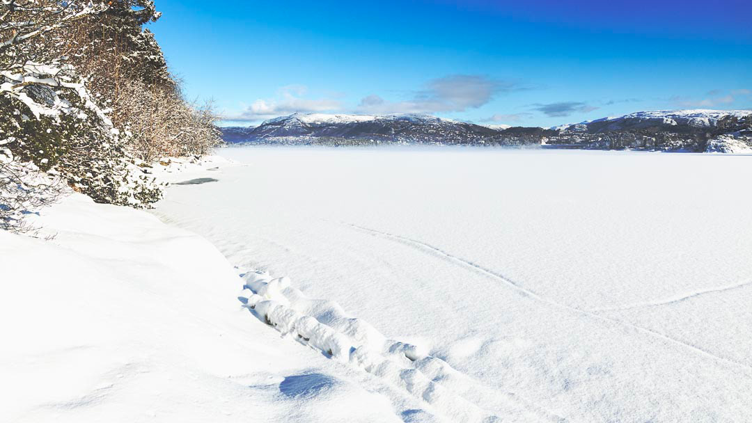 F6282 - Frozen February 2026