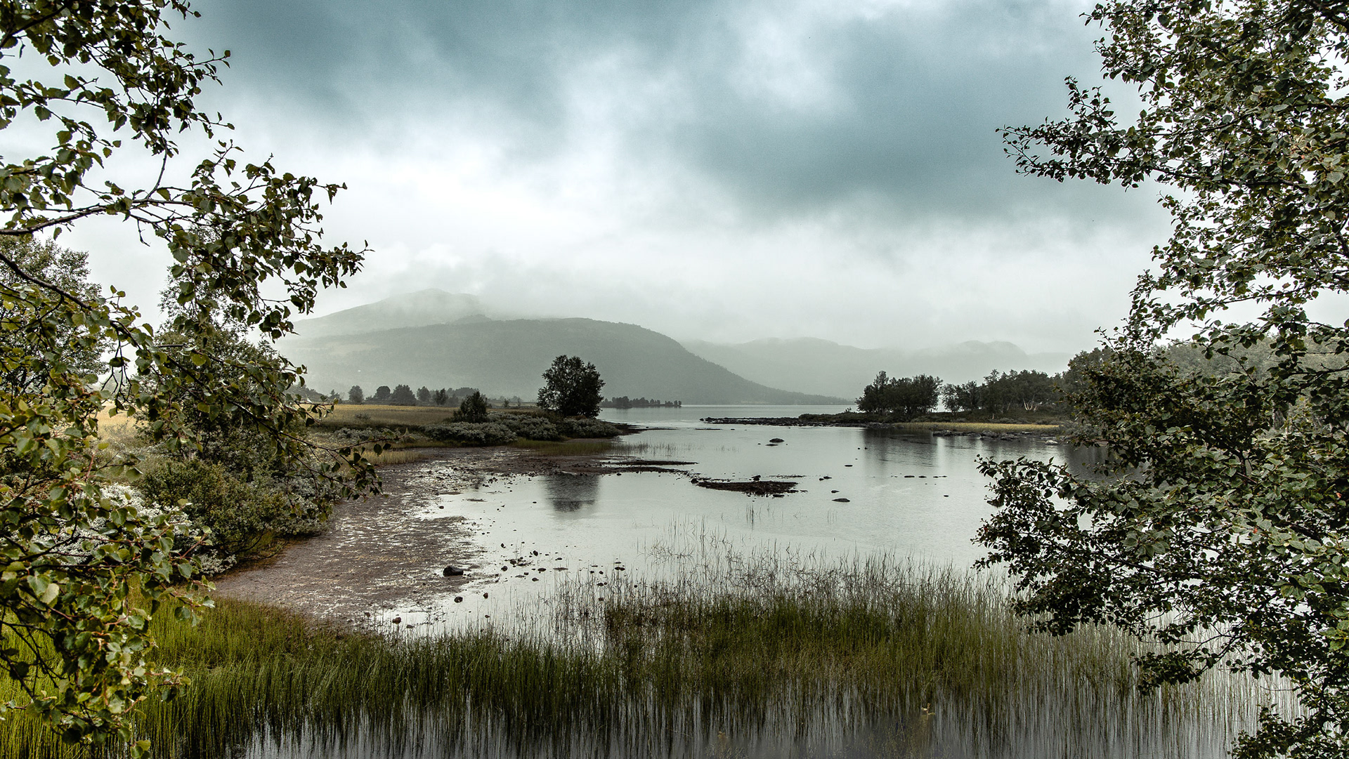 F2893 - Smeddalen