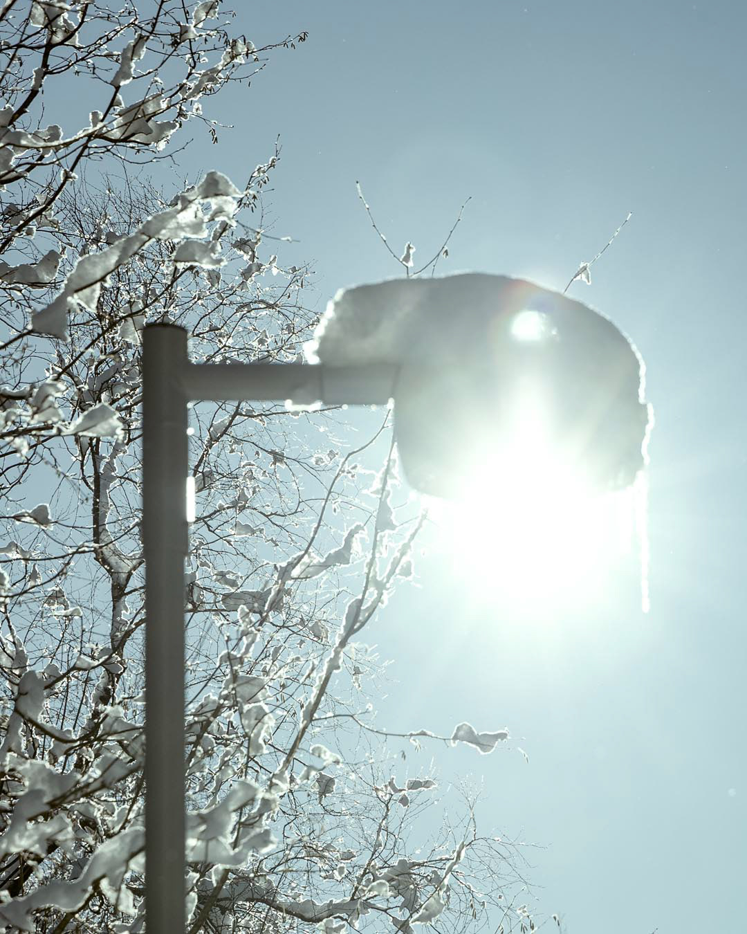 F6293 - Winter's day February 2026