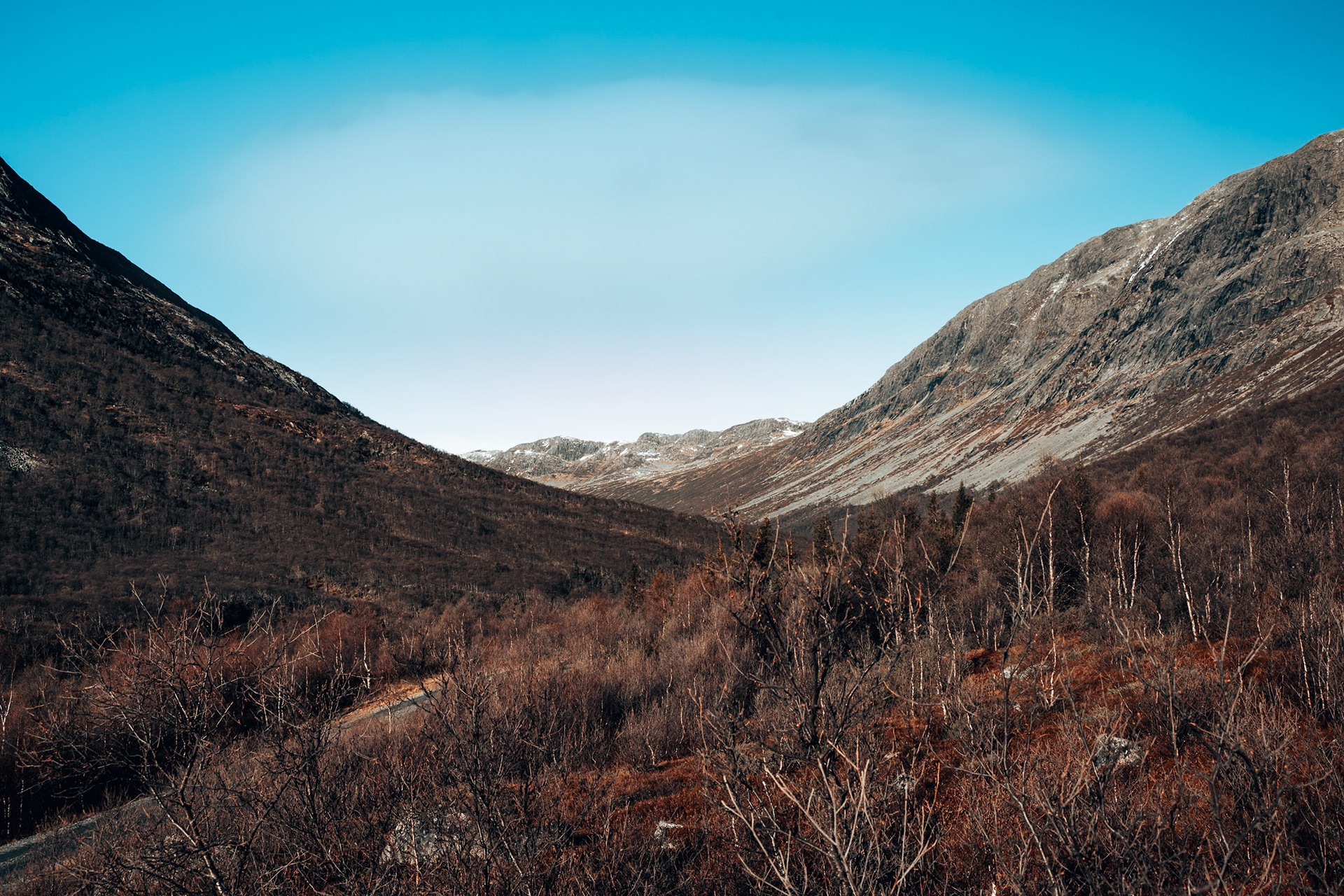 F7557 - Sanddalen, Valdres. November 2024
