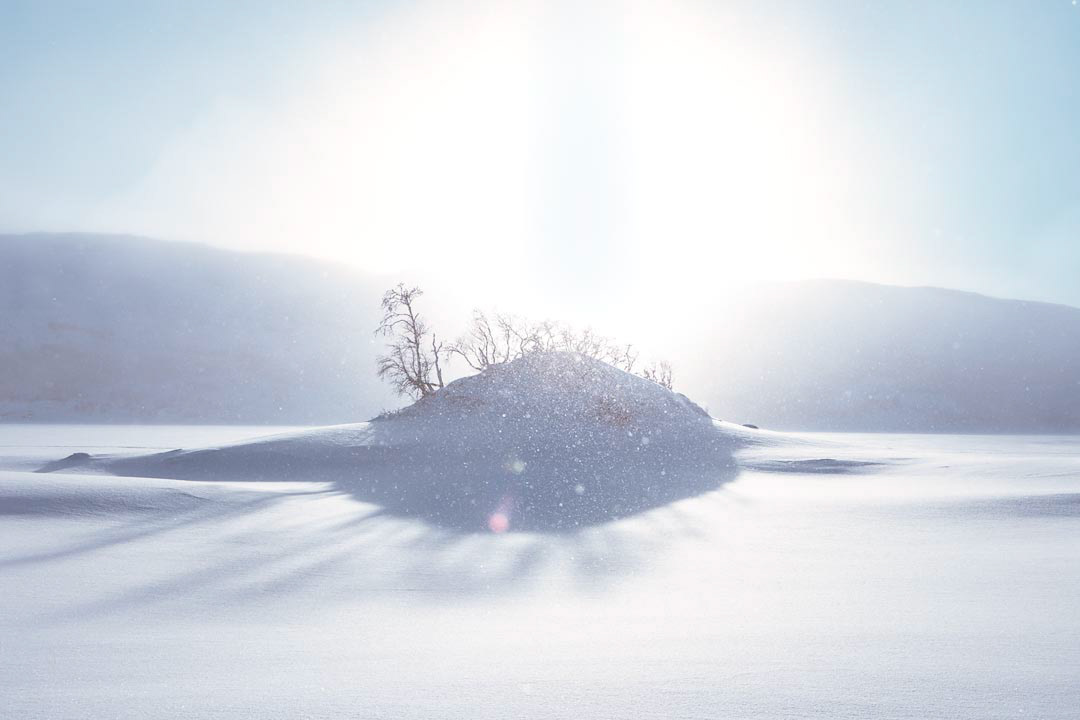 F6248 - Winter's day - Filefjell January 2026
