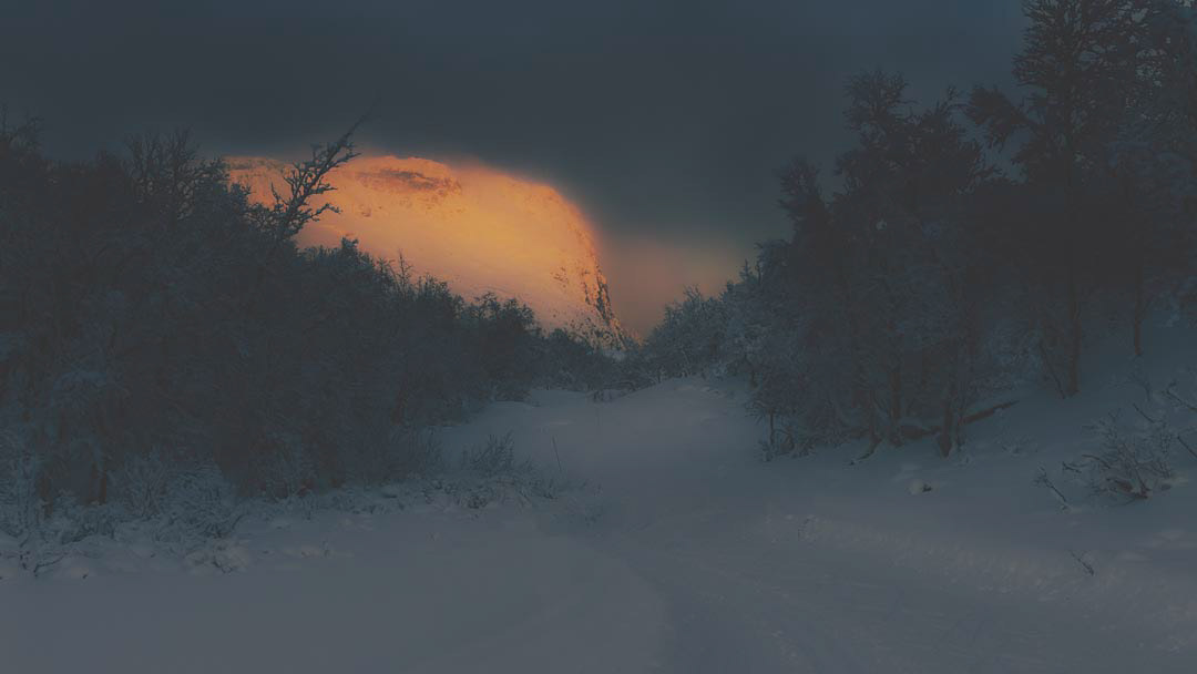 F6264 - Winter's day - Filefjell January 2026