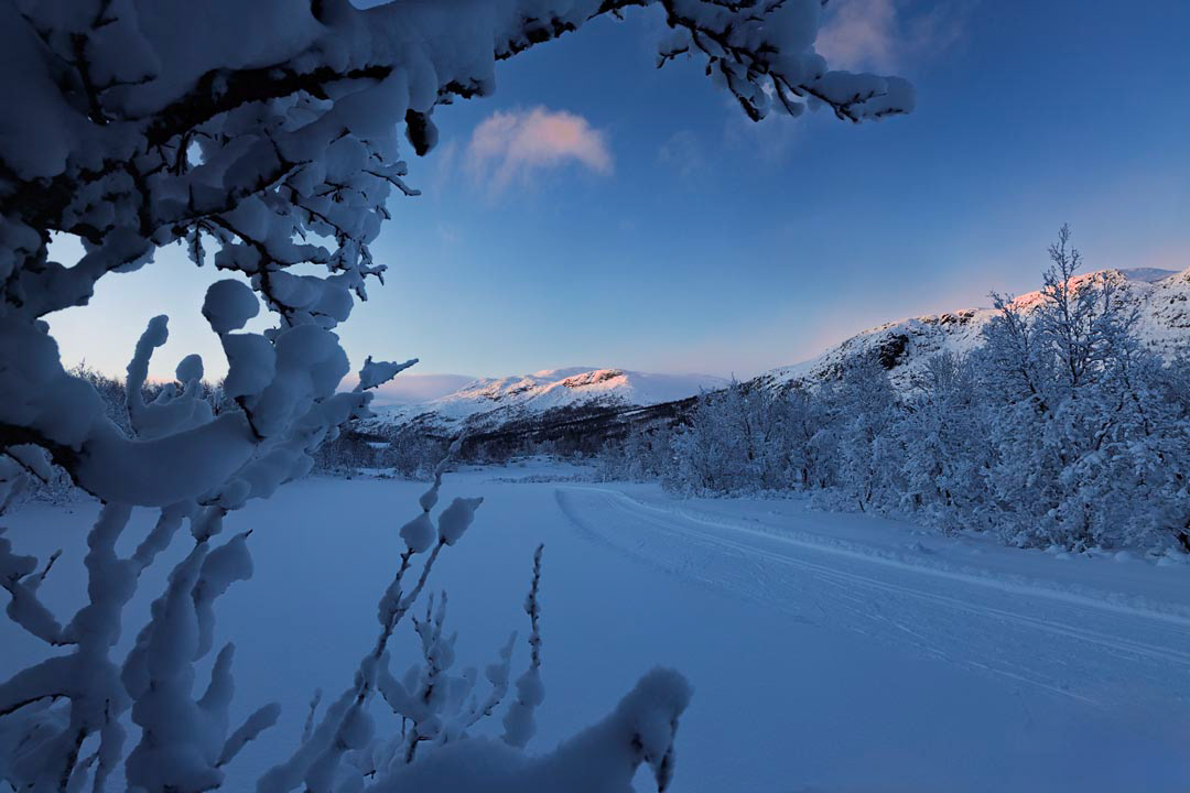F6262 - Winter's day - Filefjell January 2026