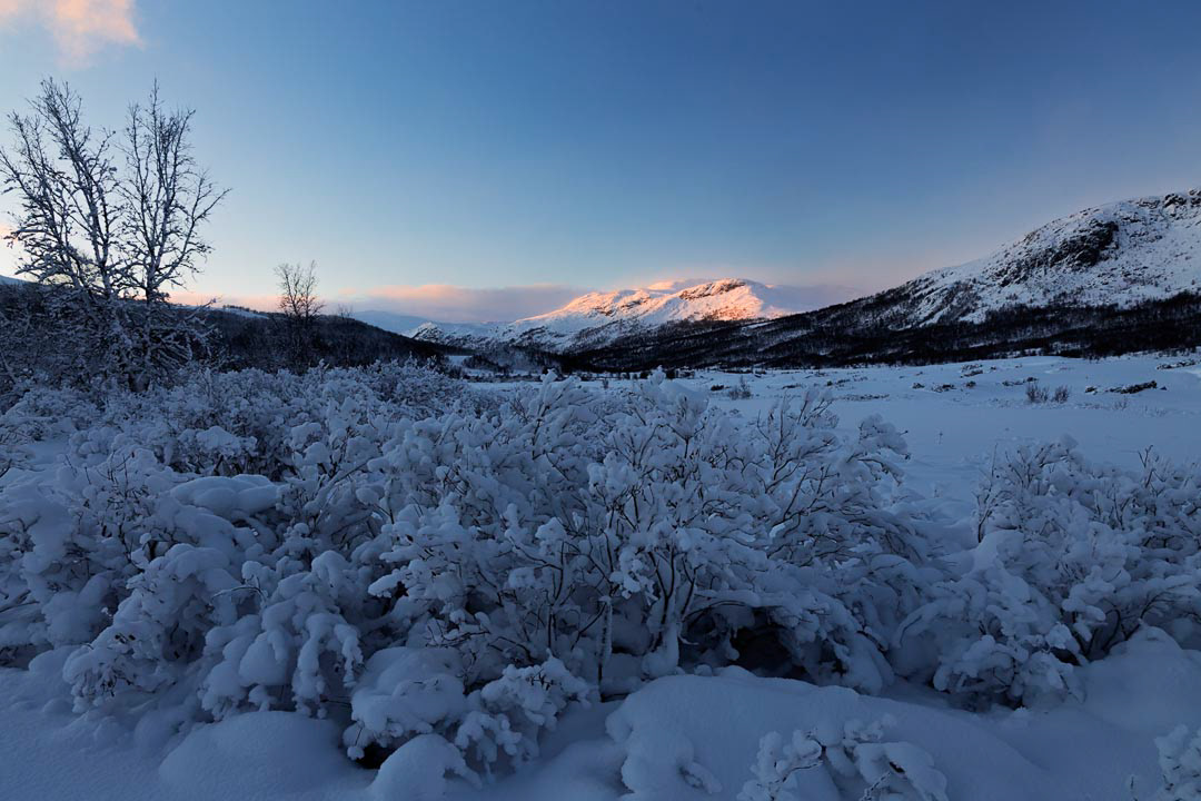 F6261 - Winter's day - Filefjell January 2026