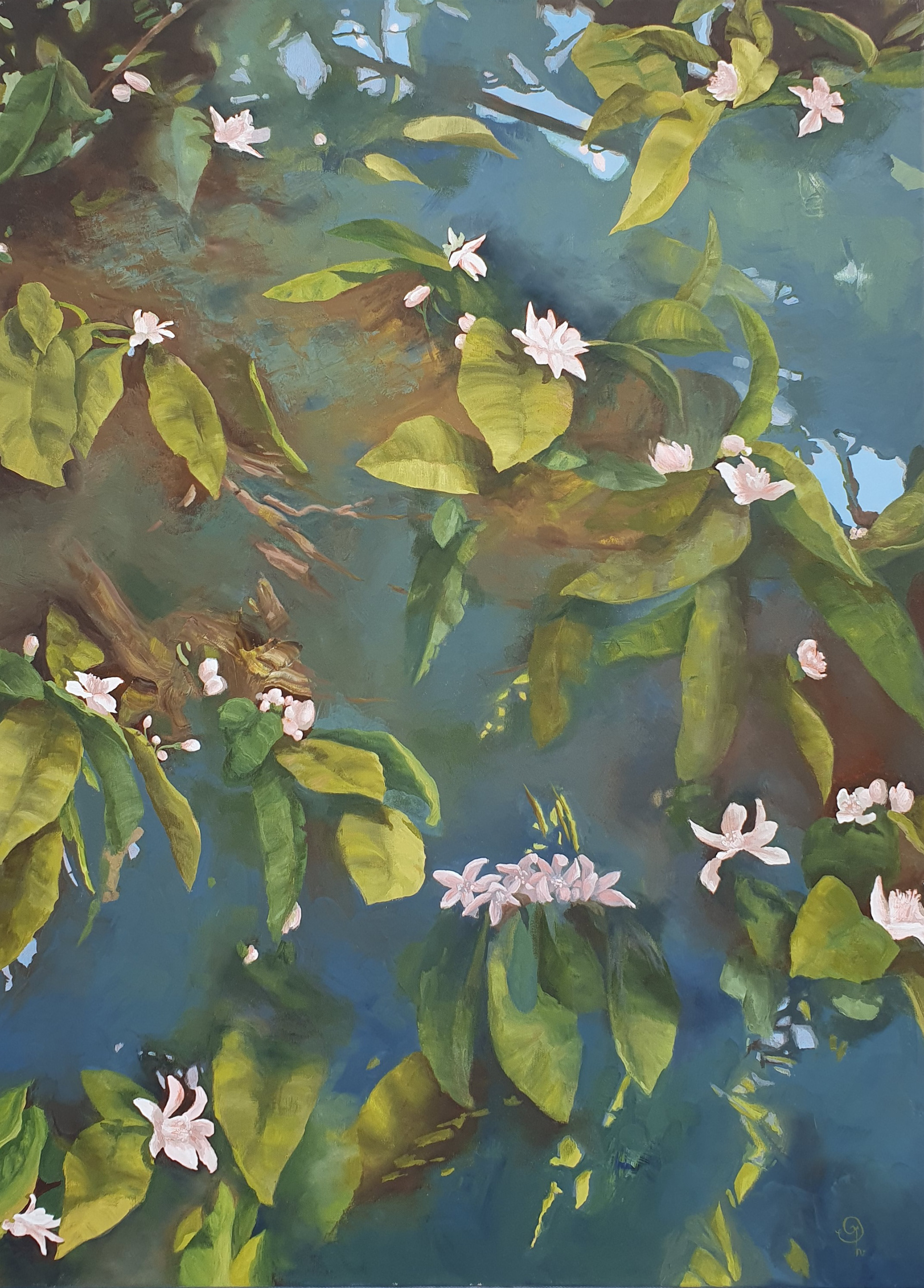 Azahar 73x100 cm