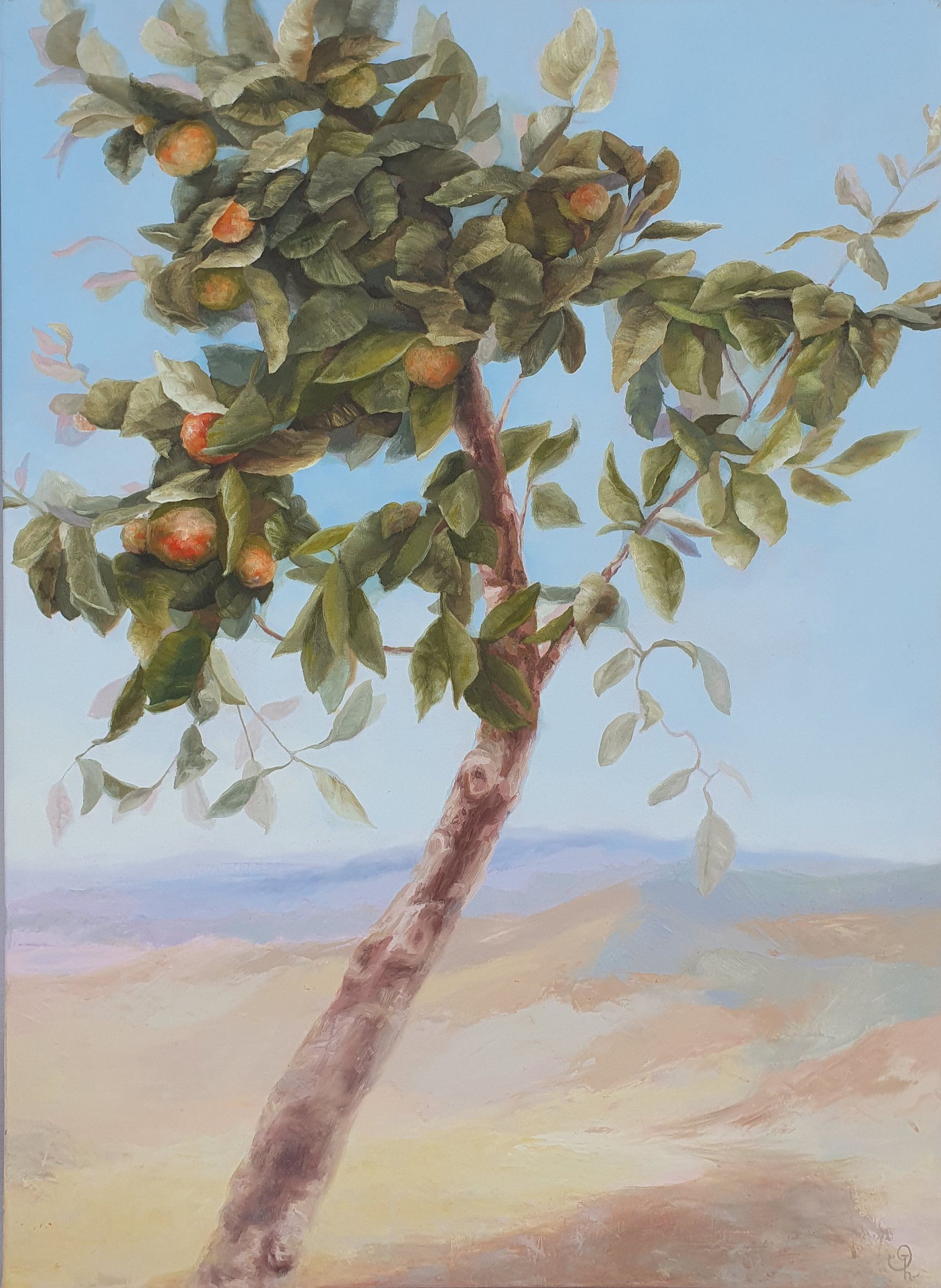 The first oranges 73x100 cm