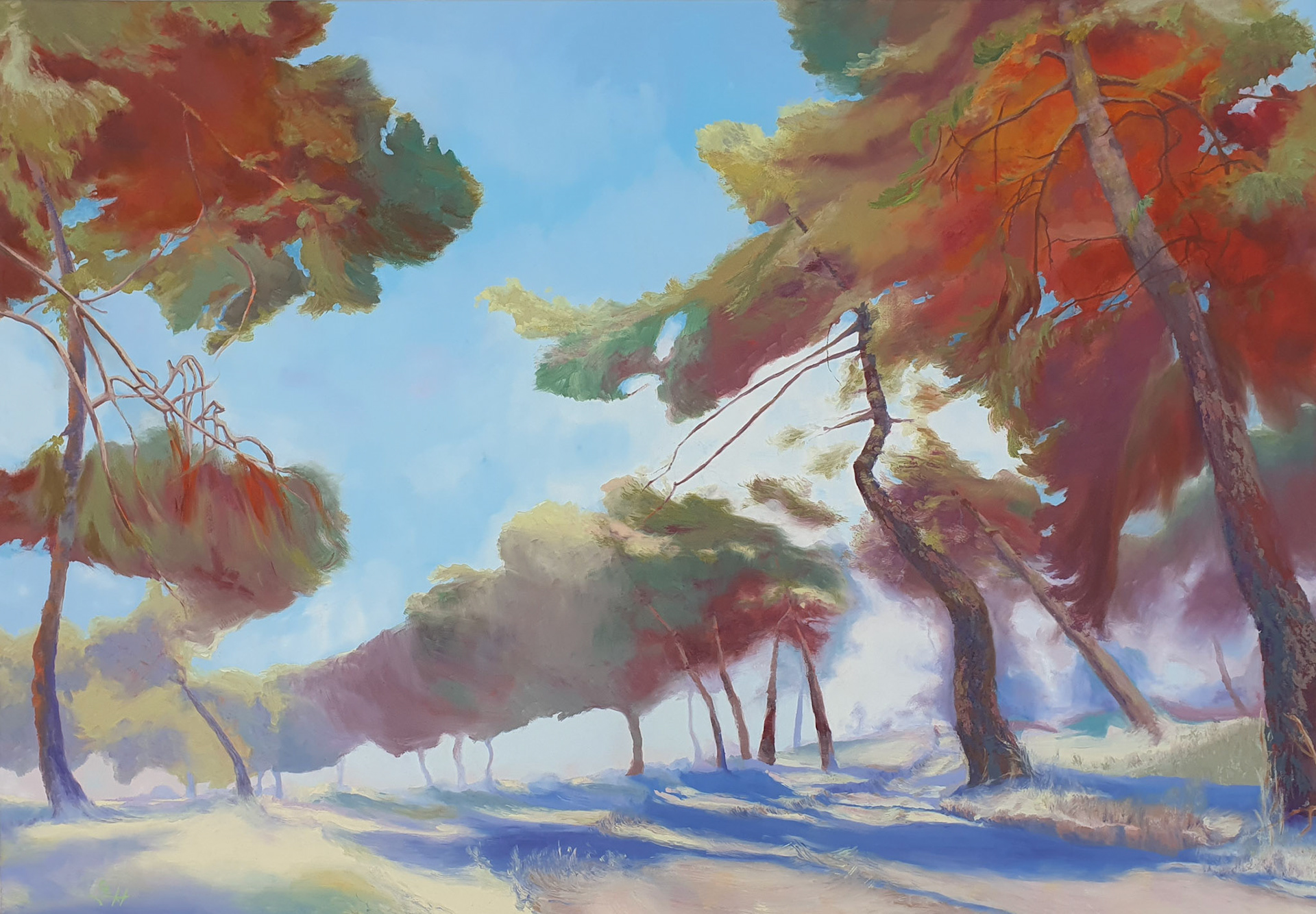 Summer with Pines
