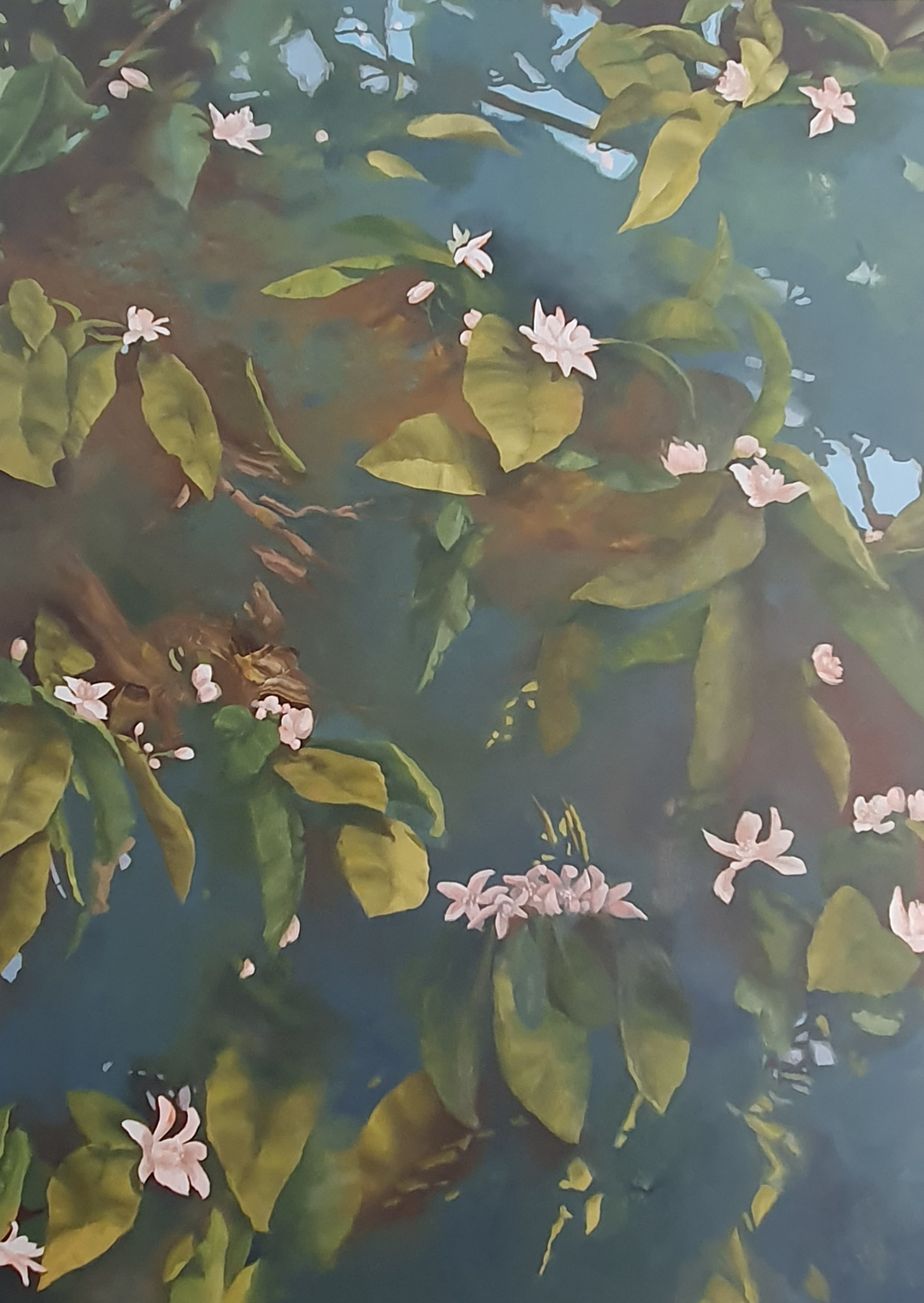 Azahar 73x100 cm