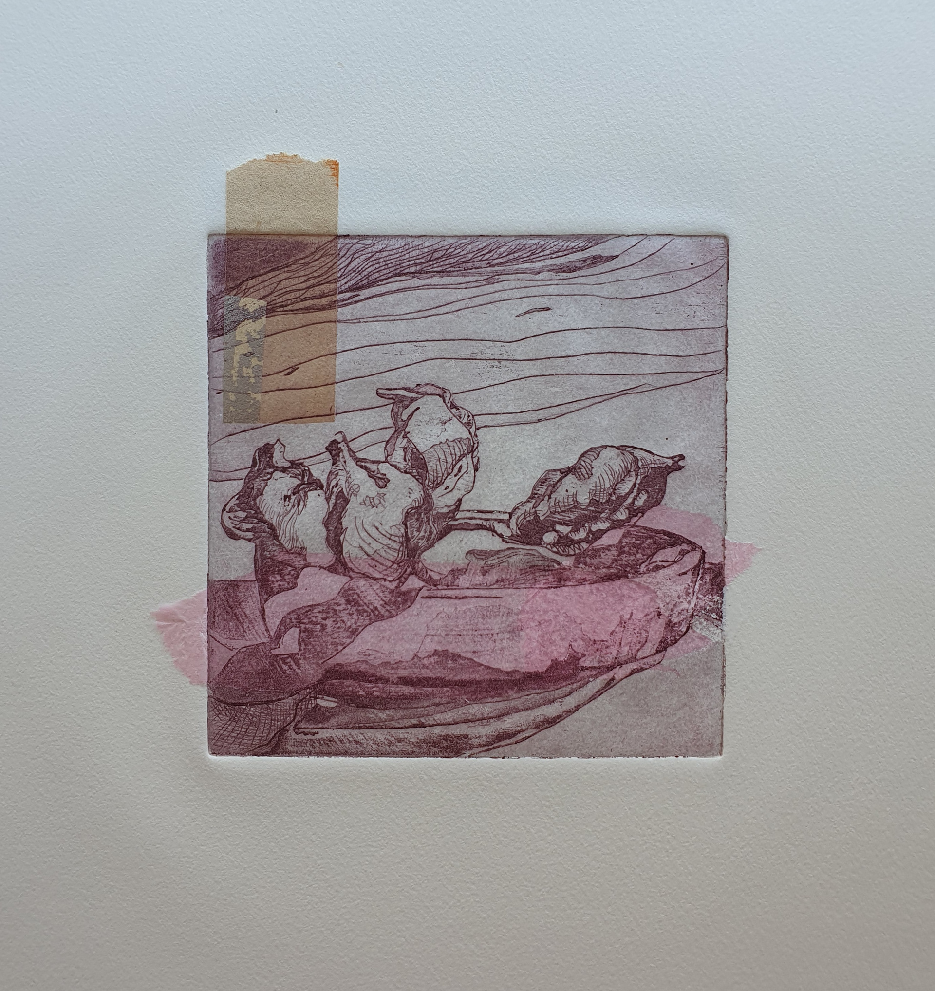 "Still life in rose and gold" aquatint, dry point, chincolle zink