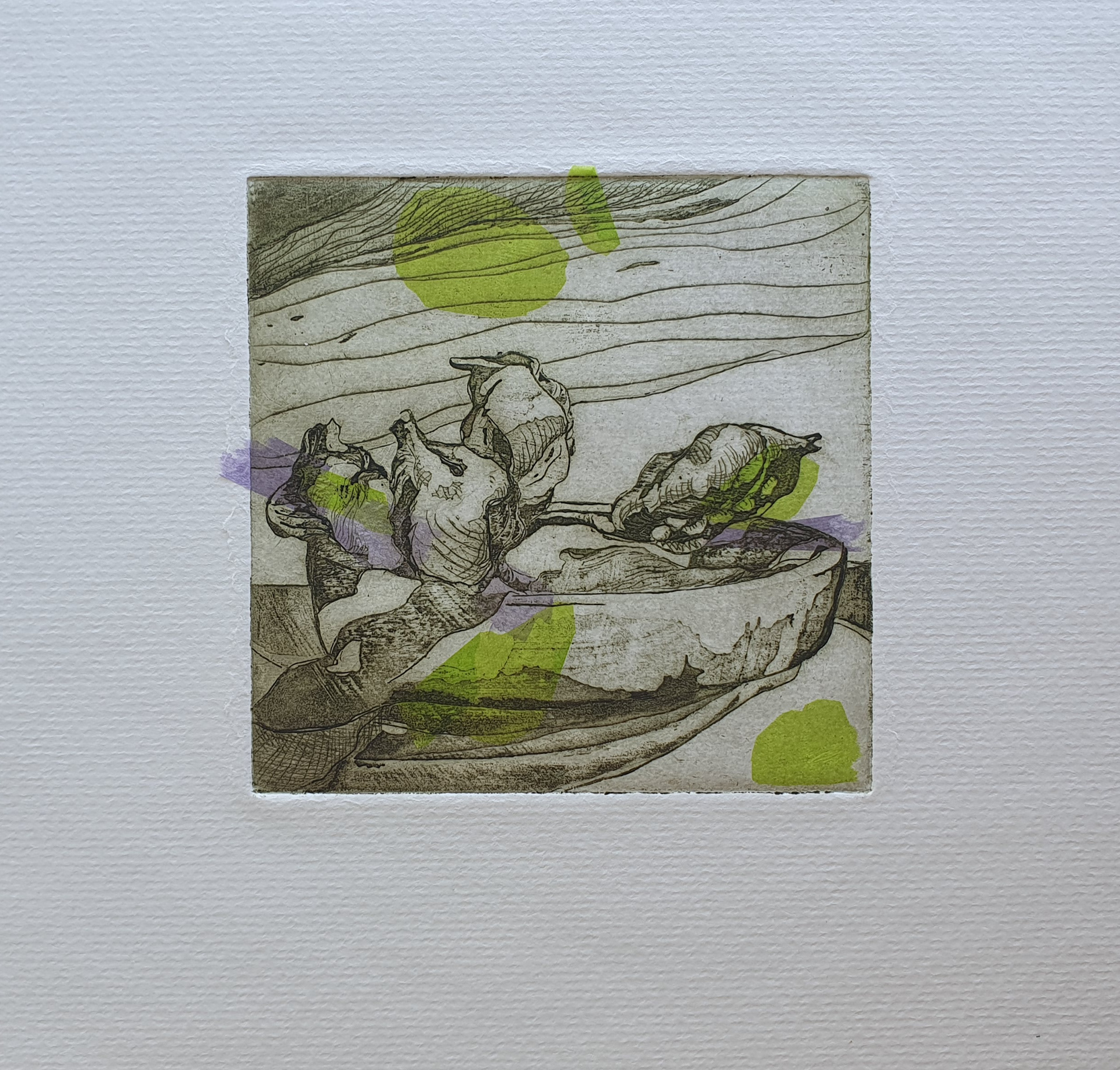 "Still life in green" aquatint, dry point, chincolle zink