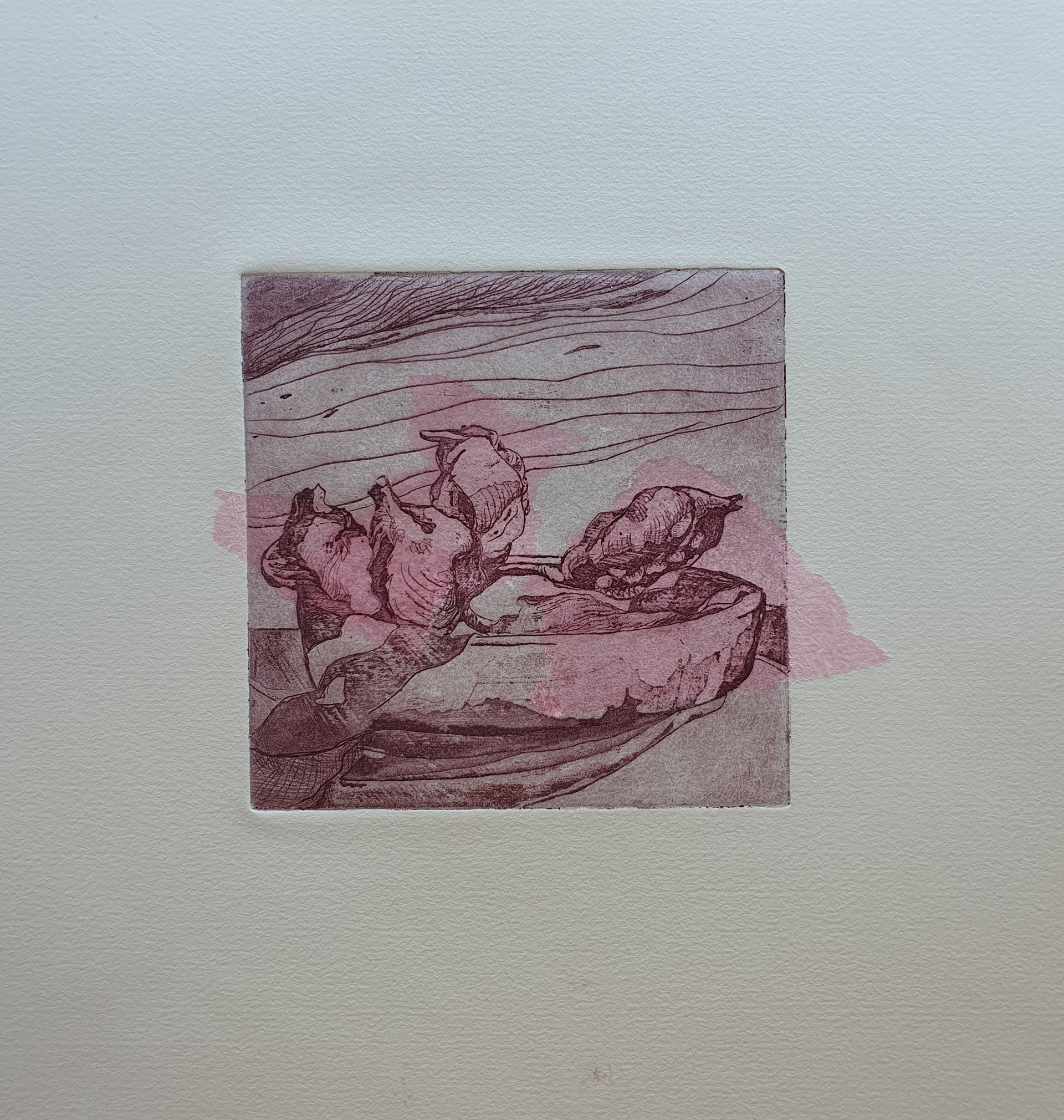 "Still life in rose" aquatint, dry point, chincolle zink