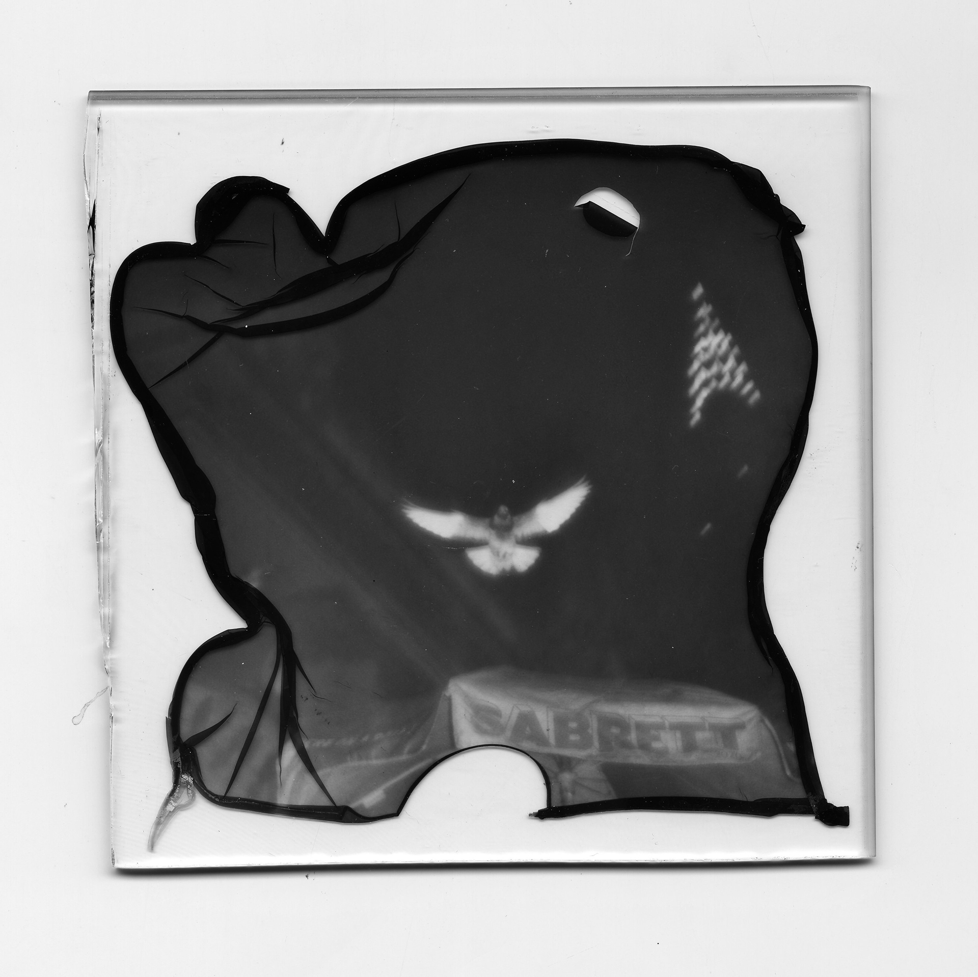 Emulsion Lift onto glass, 4” x 4”