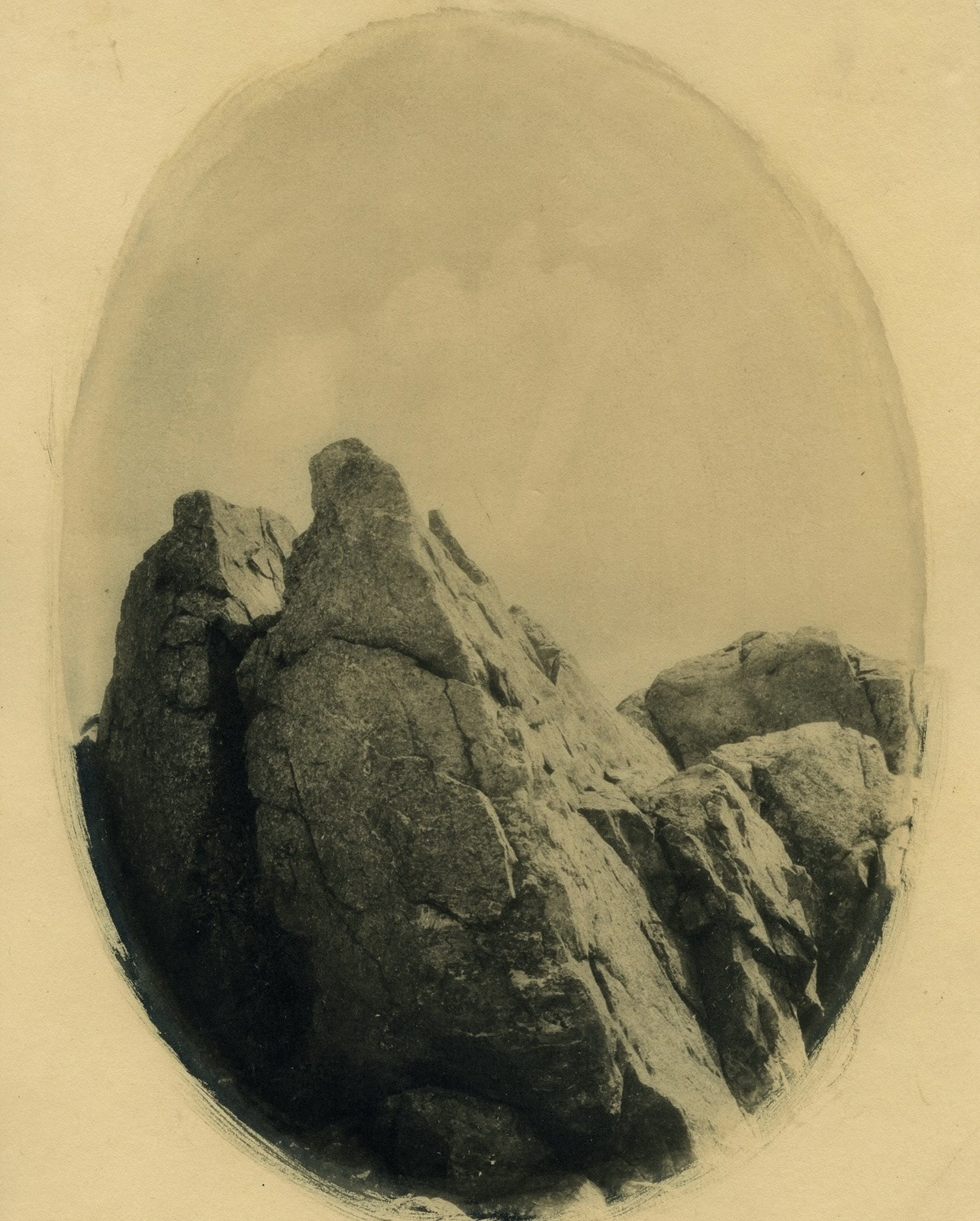Toned Cyanotype, 8” x 10”