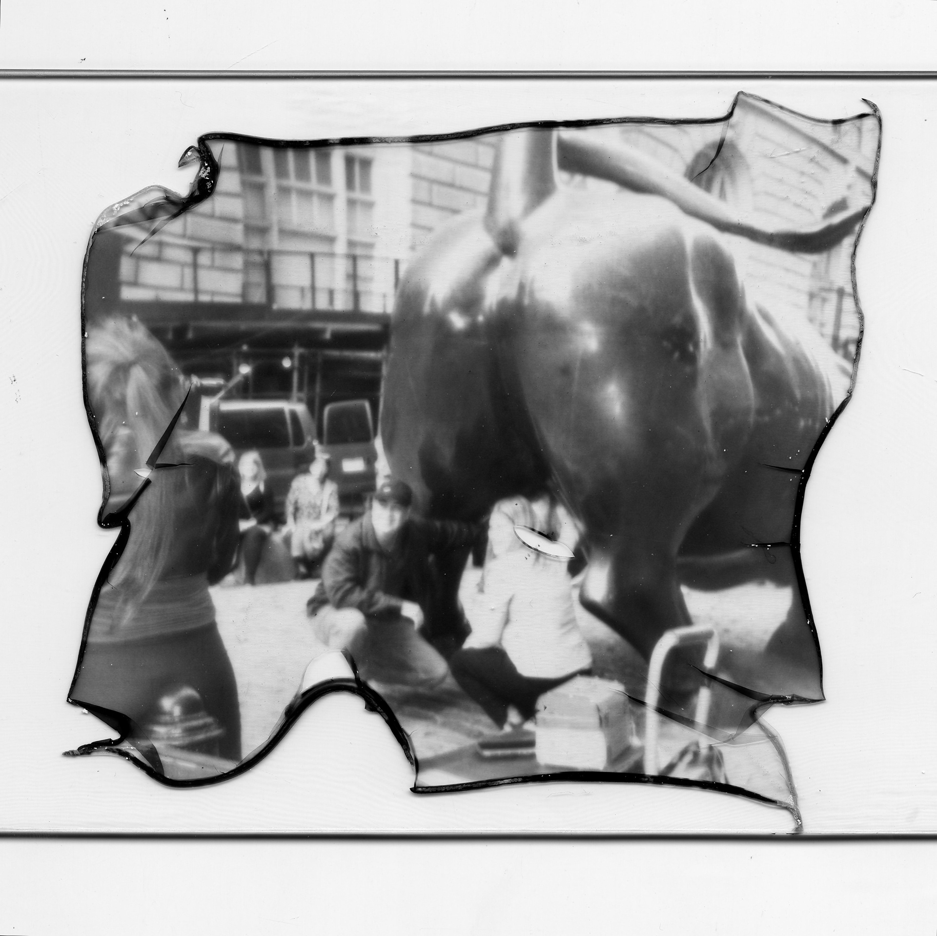 Emulsion Lift onto glass, 4” x 6”
