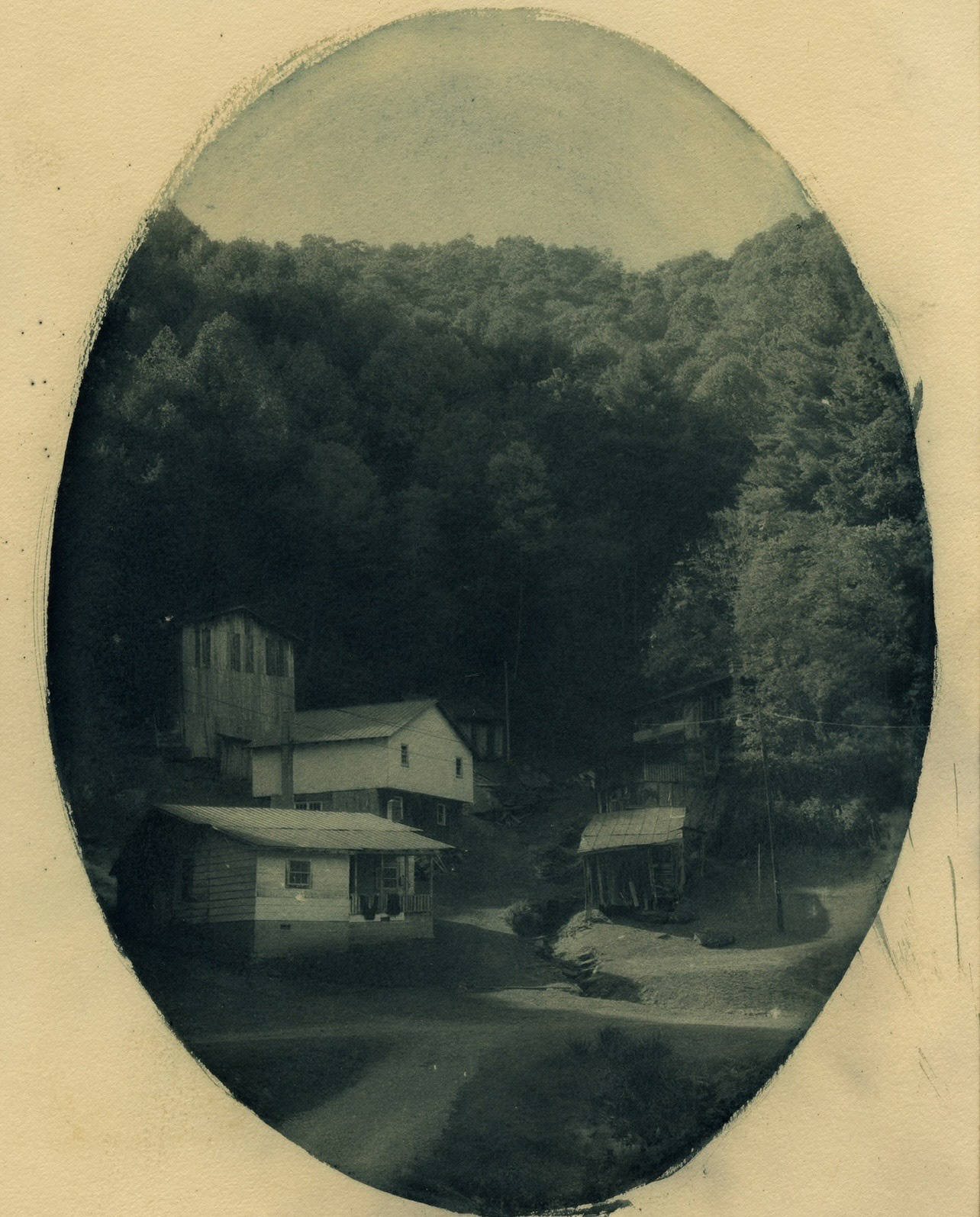 Toned Cyanotype, 8” x 10”