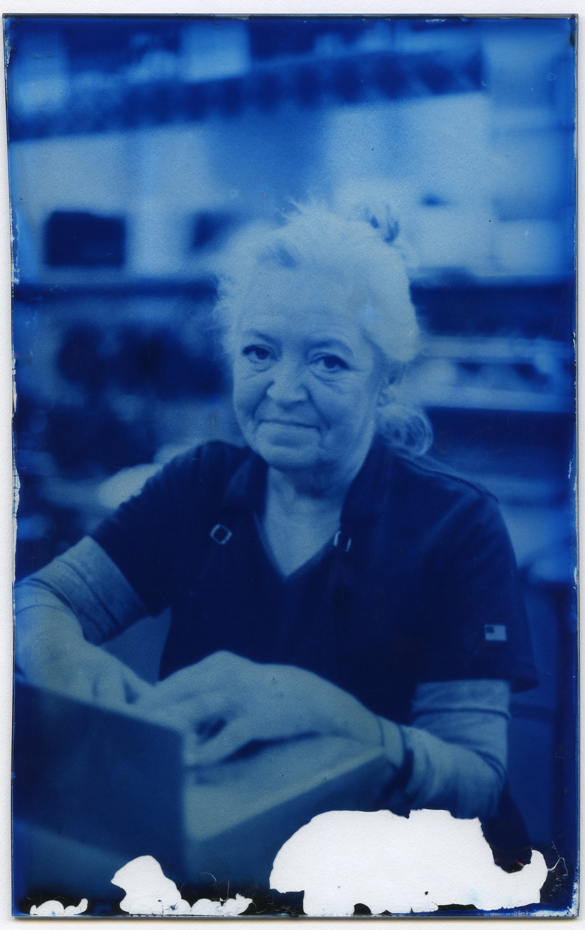 Cyanotype on glass, 5” x 7”