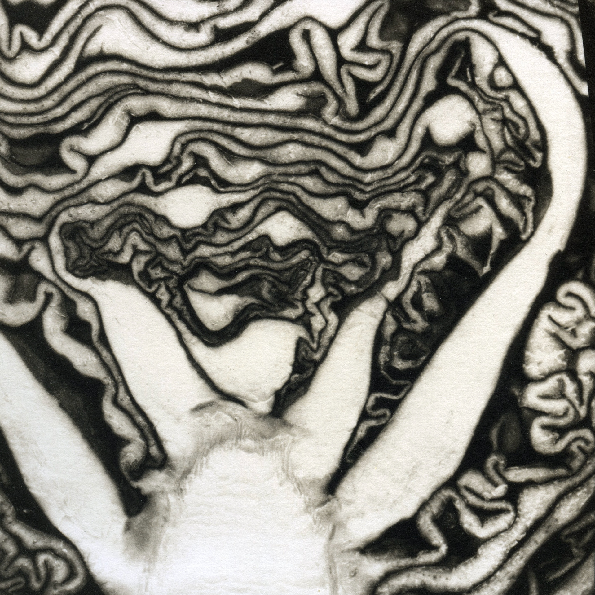 Palladium Print, 5” x 5”