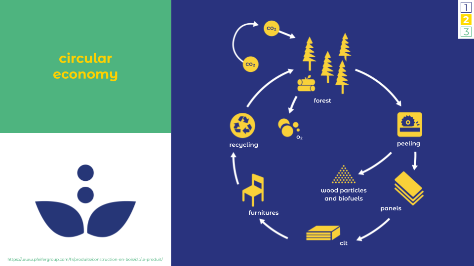 The wood goes through a short circuit. Once it has been processed into panels, it is reworked to obtain CLT. The furniture is then manufactured and can be recycled for a second life. As for the carbon footprint that can be found during delivery, for example, this is offset by the sustainably managed forests. Indeed, these forests will absorb CO2 and produce O2. Yggdrasil is thus at the heart of the circular economy.