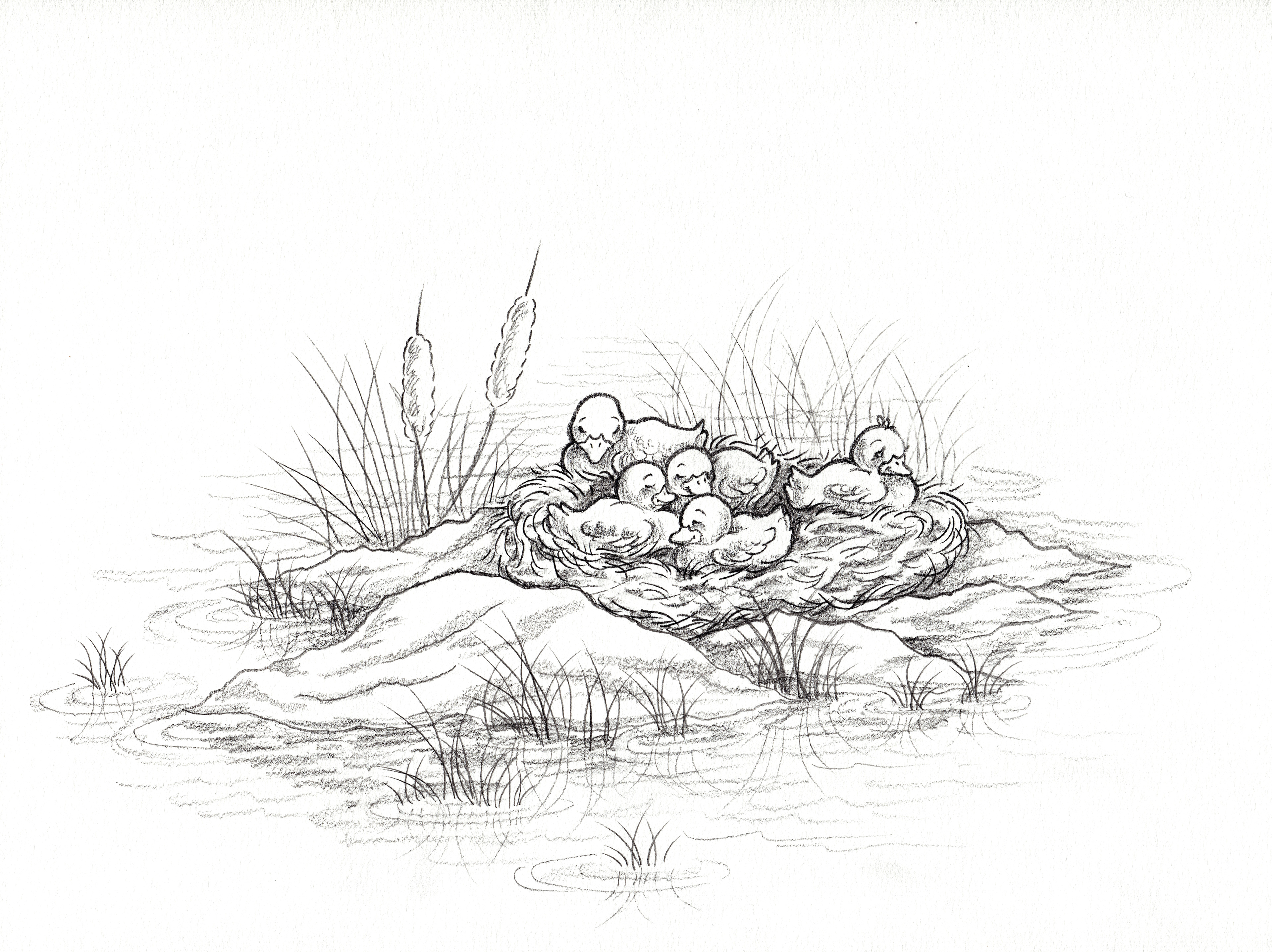 Final artwork (1) no color.