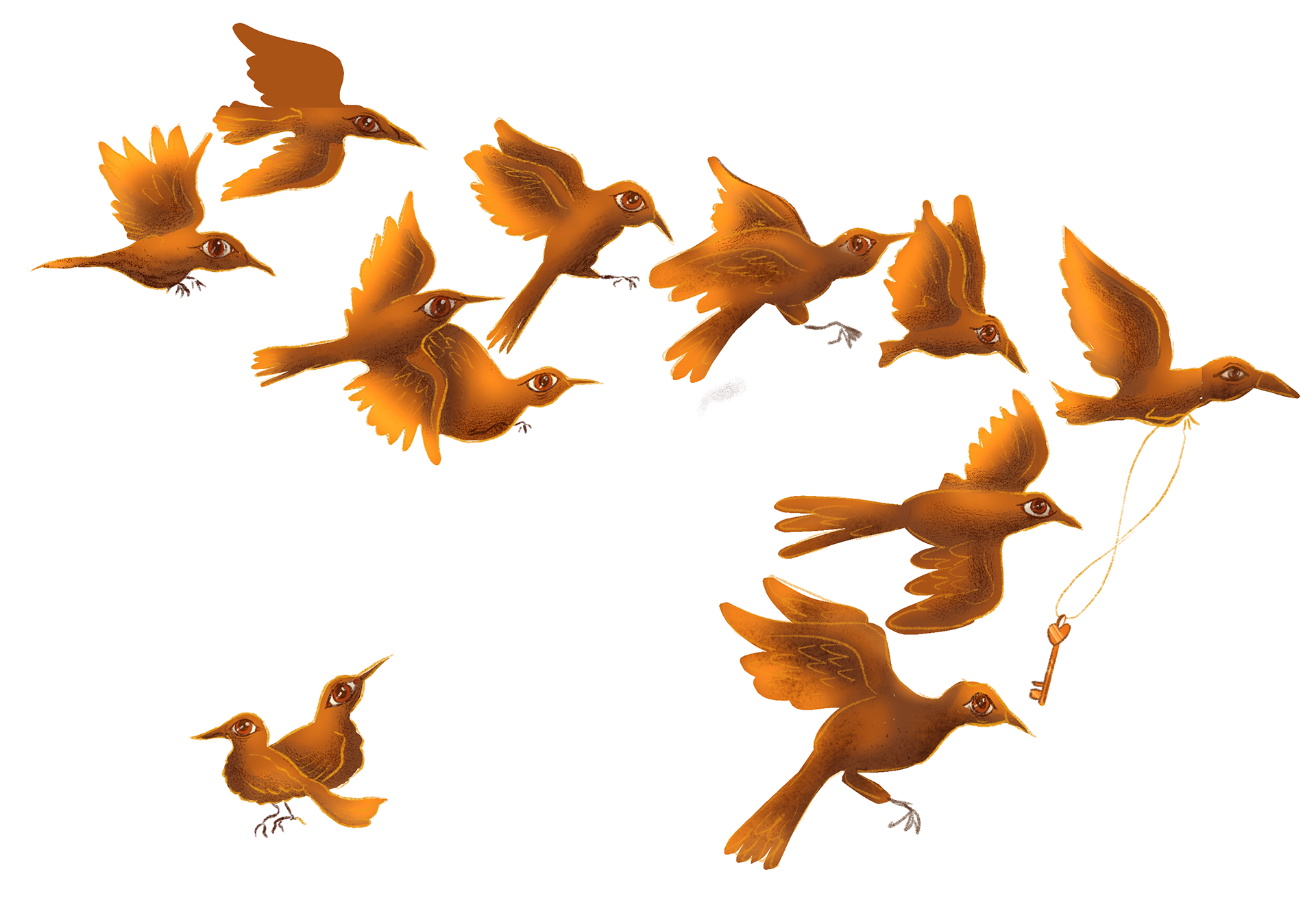 Isolated birds asset.