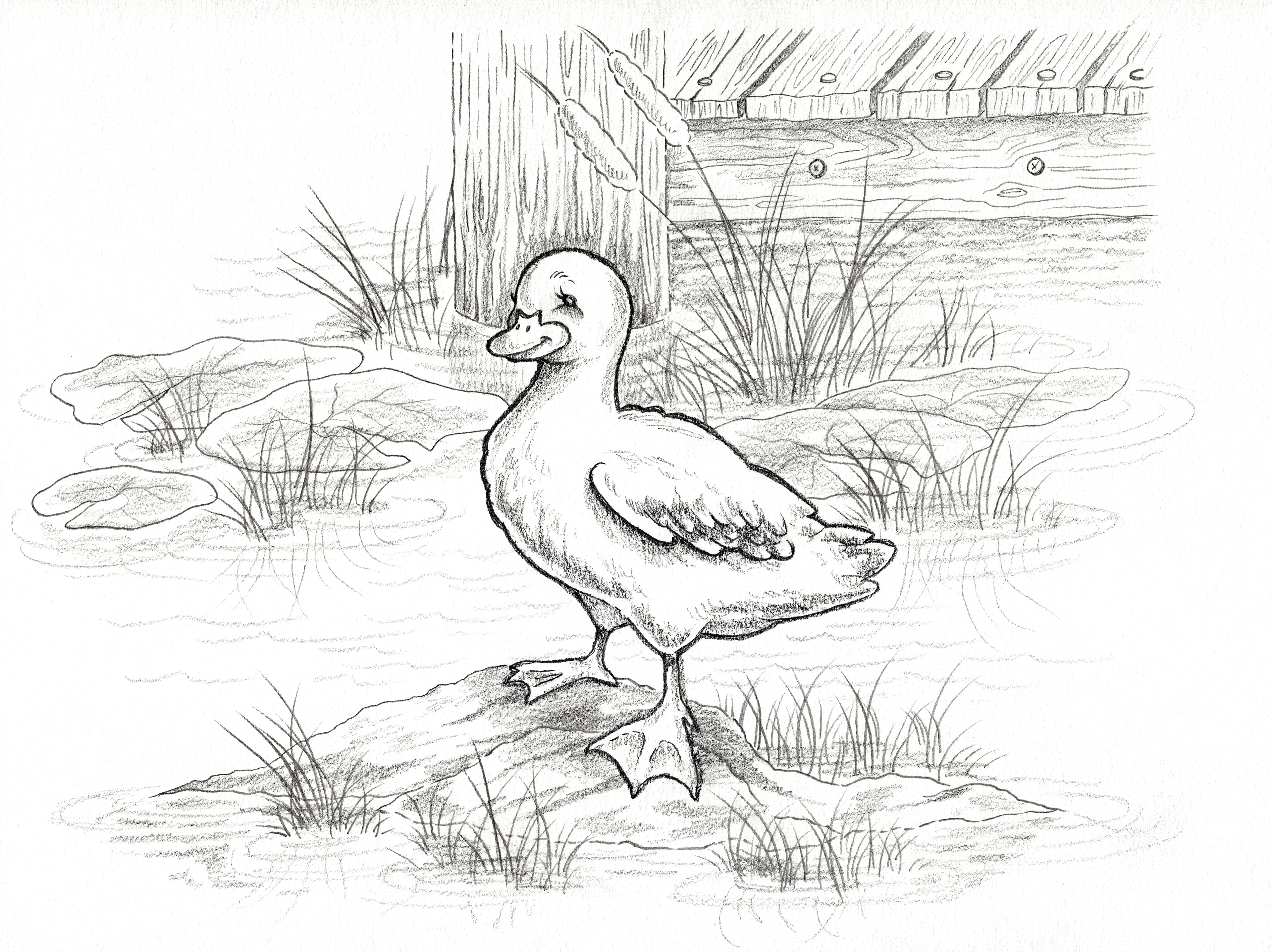 Final artwork (2) no color.