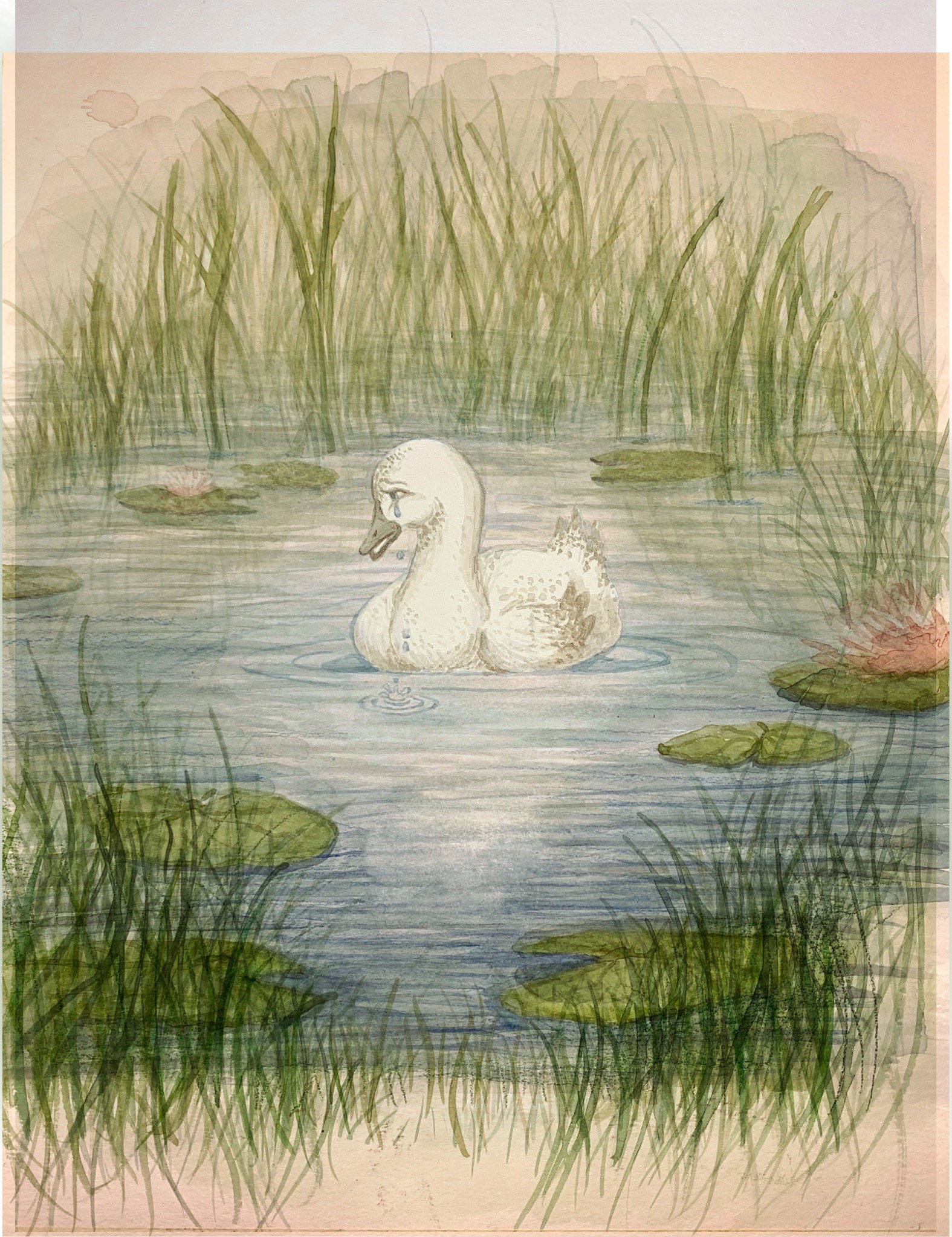 Front cover watercolor illustration.