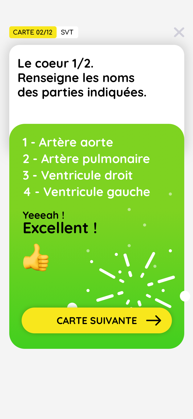Écran de quiz : bonnes réponses