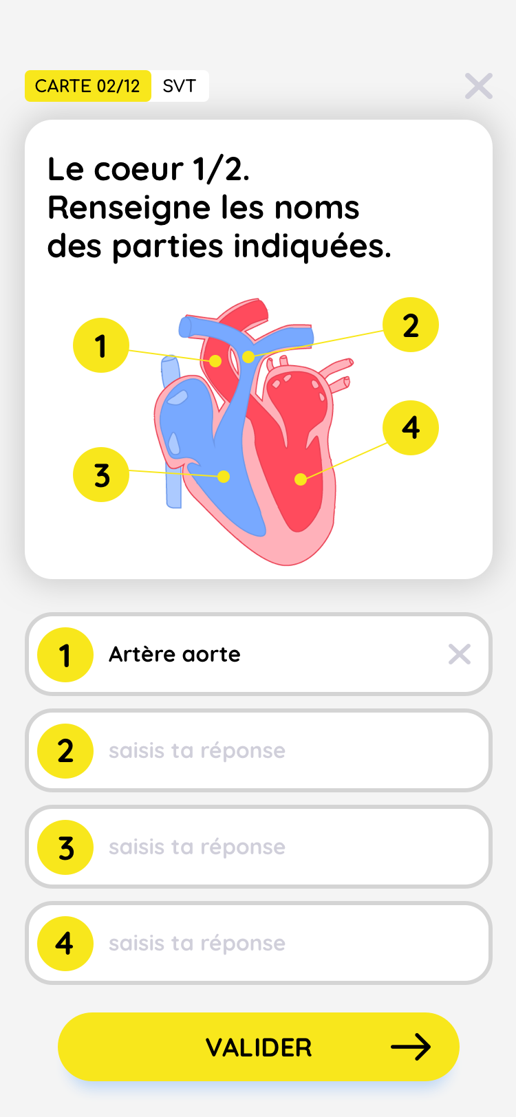 Écran de quiz : saisie