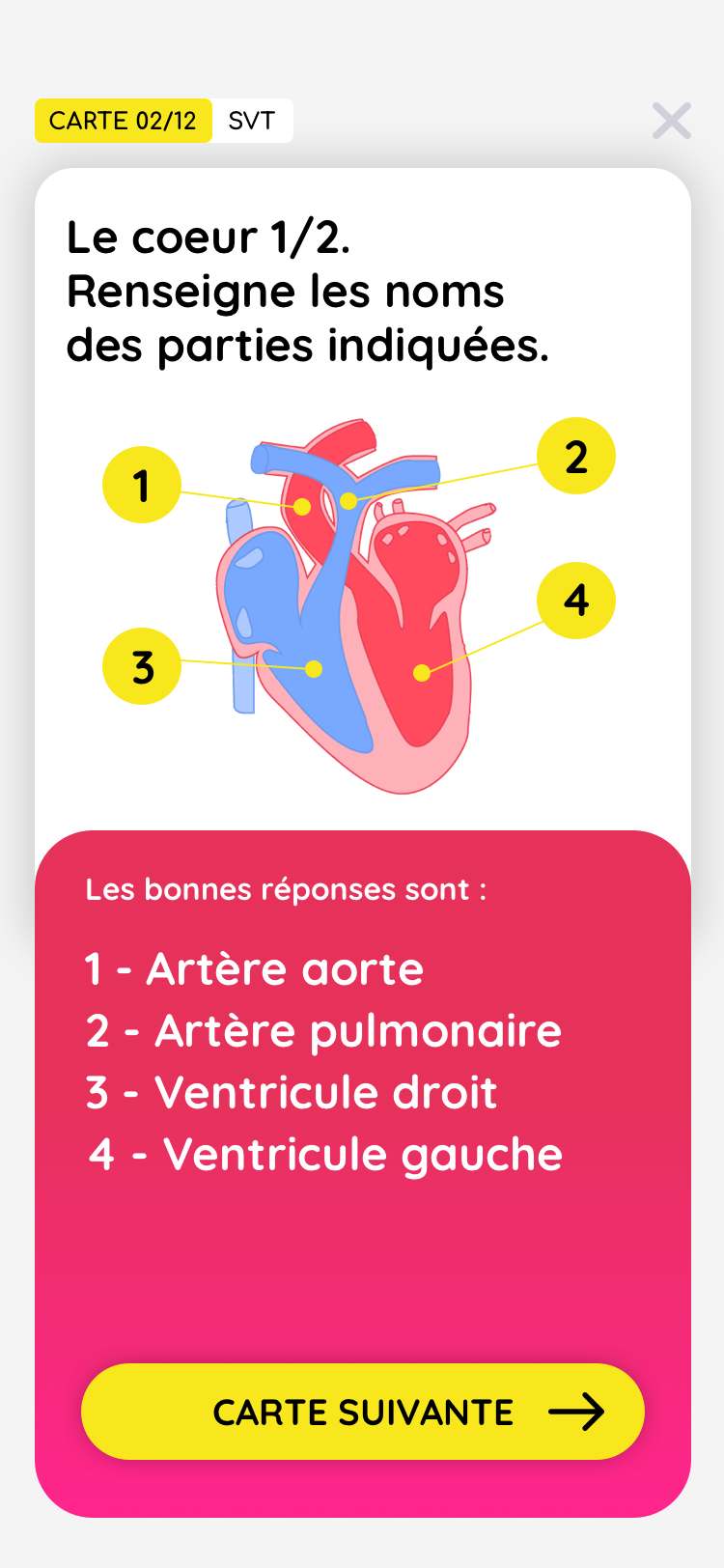 Écran de quiz : erreur