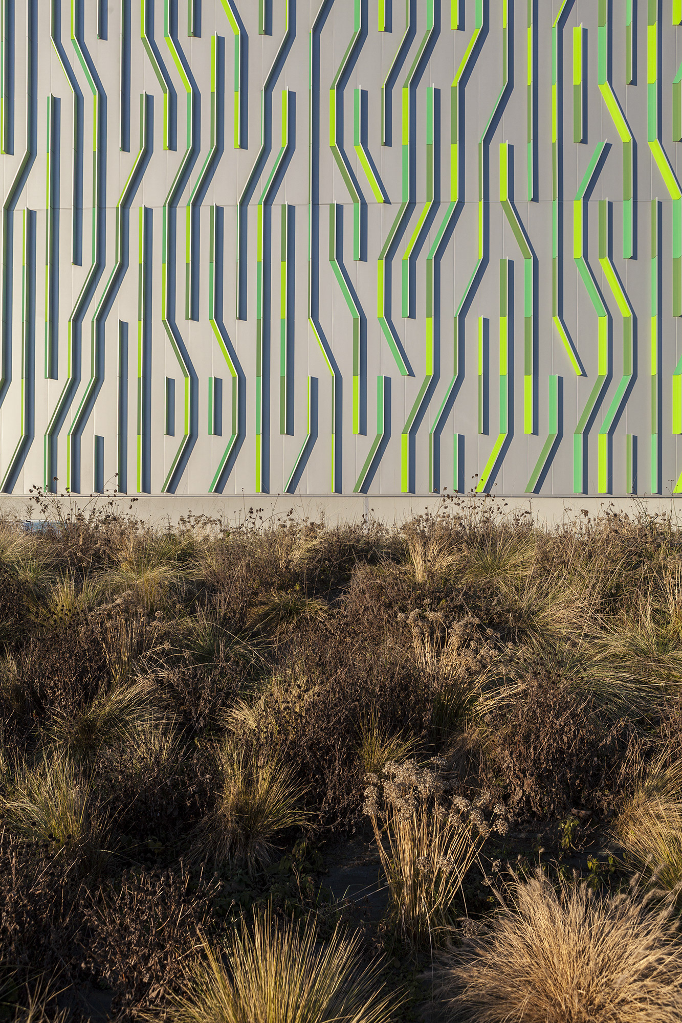 © Antonio Campanella