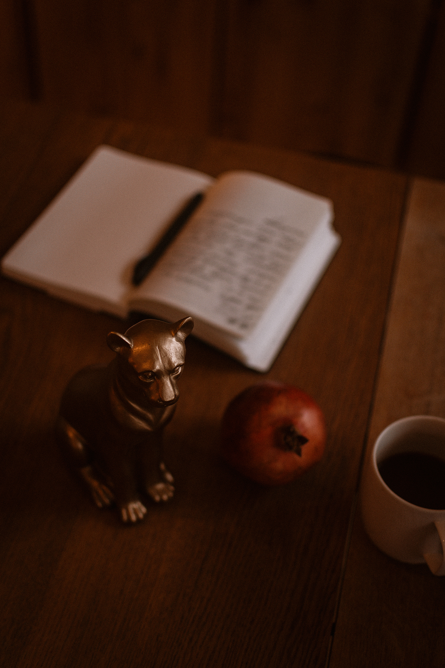 Berit Kaschan & Biblionaut / brändisessioon Rüütel & Matilda raamatupoes Tallinnas — talv 2023