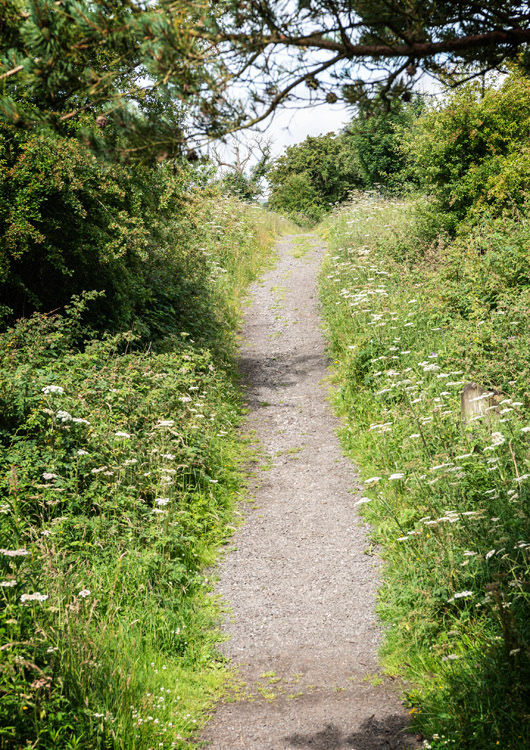 Tees Railway Walk W. from Romaldkirk W at 980 227