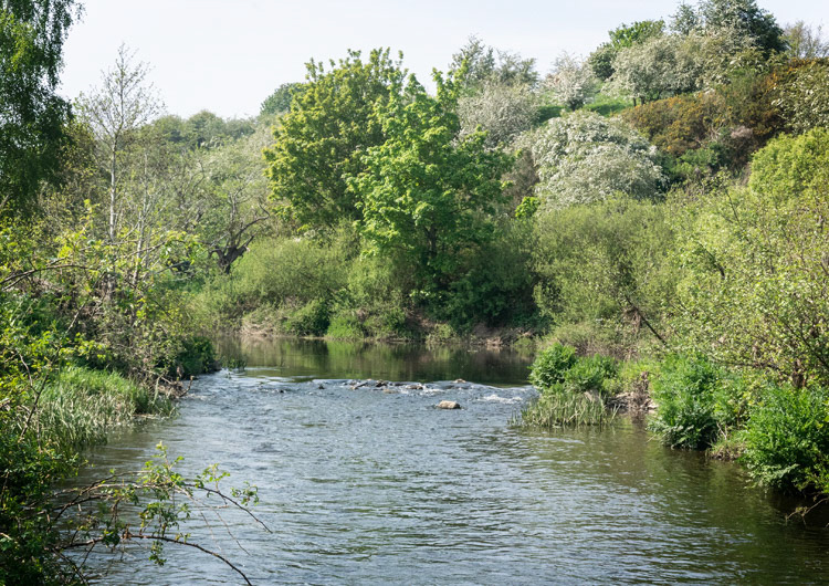Aln Valley Railway