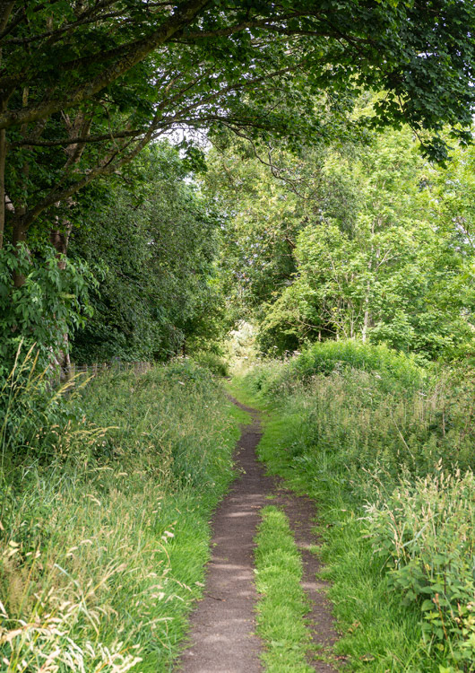 Tees Railway Walk W. from Romaldkirk W at 981 228